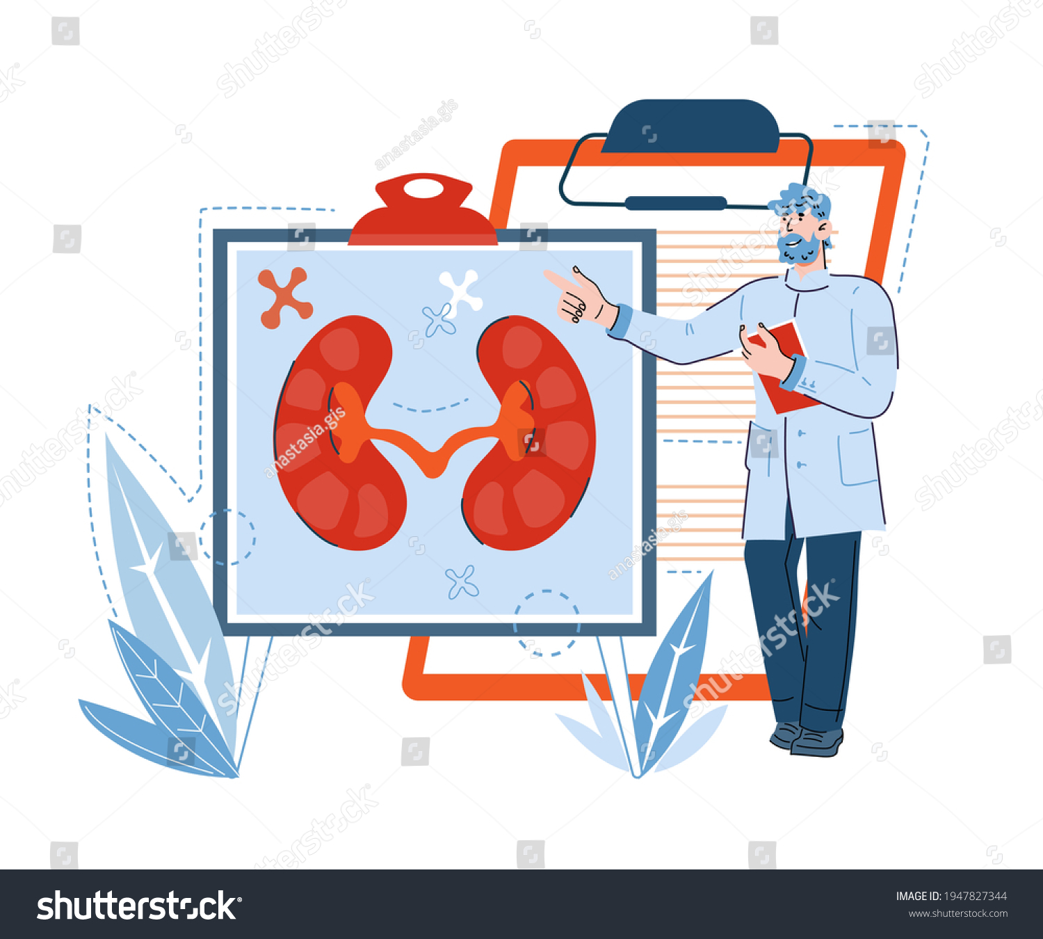 Doctor Pointing Banner Kidney Image Flat Stock Vector (Royalty Free ...