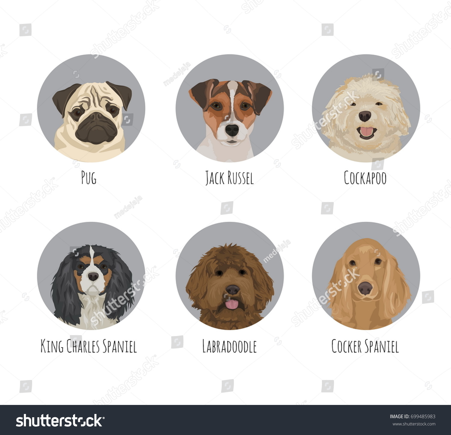 SVG of Dog animal pet round circle portrait badge stickers. Various dog breeds and kind, friendly cute jack russel terrier, pug, spaniel, labradoodle, cockapoo svg