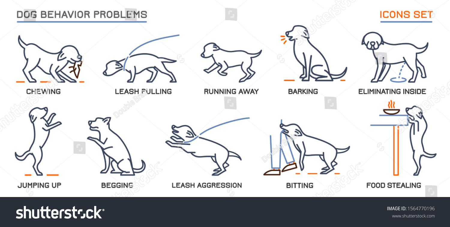 22,377 Dog Training Vector Stock Vectors, Images & Vector Art ...