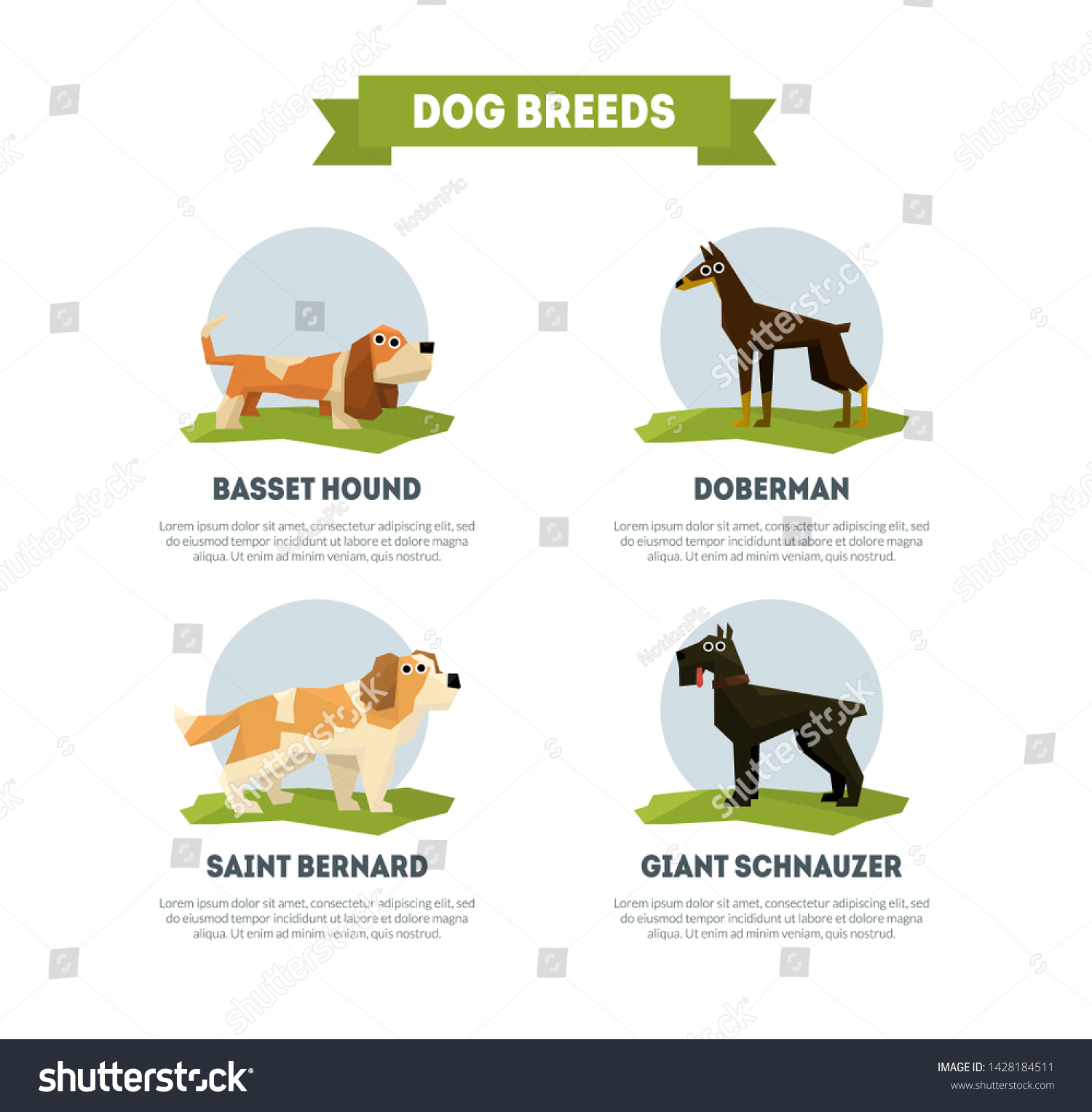 Dog Breeds Banner Template Basset Hound Stock Vector Royalty Free