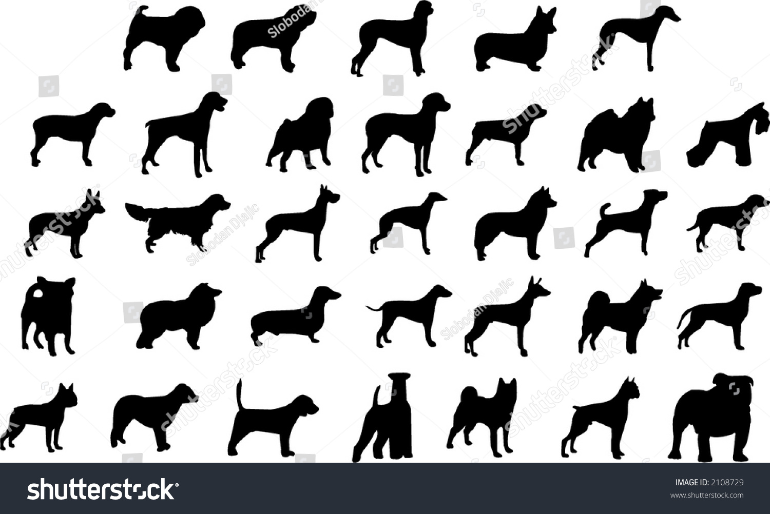 Dog Breeds Silhouettes Stock Vector 2108729 Shutterstock