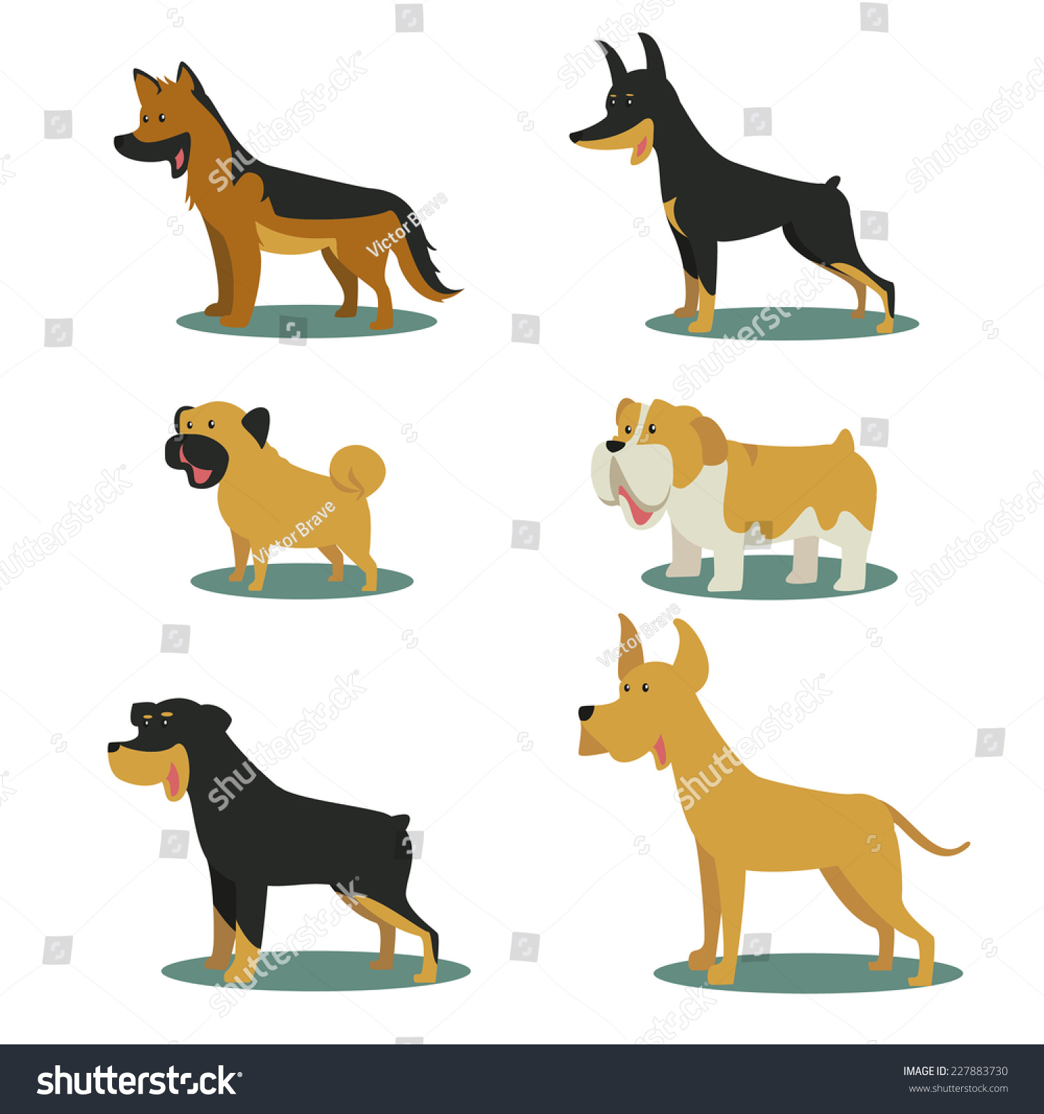 Dog Breeds Vector Illustration Set Collection Stock Vector 227883730 ...