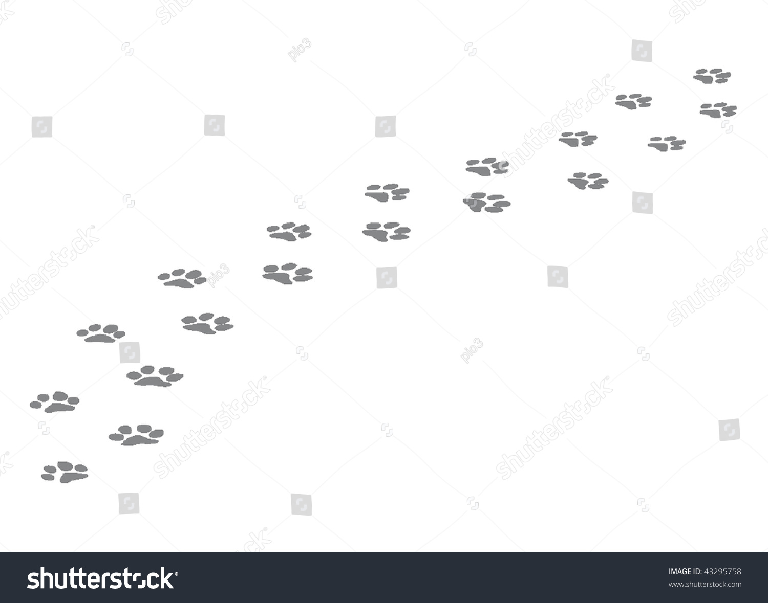 Dog Footprints. Stock Vector Illustration 43295758 : Shutterstock