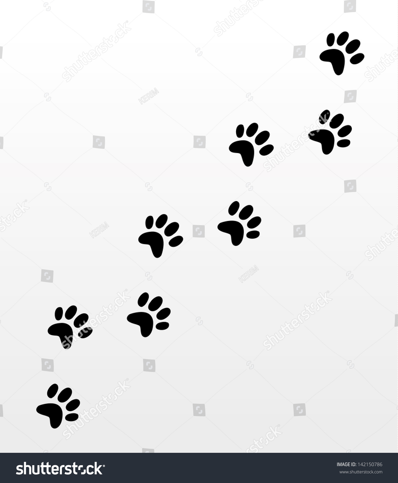 Dog Footsteps Stock Vector Illustration 142150786 : Shutterstock