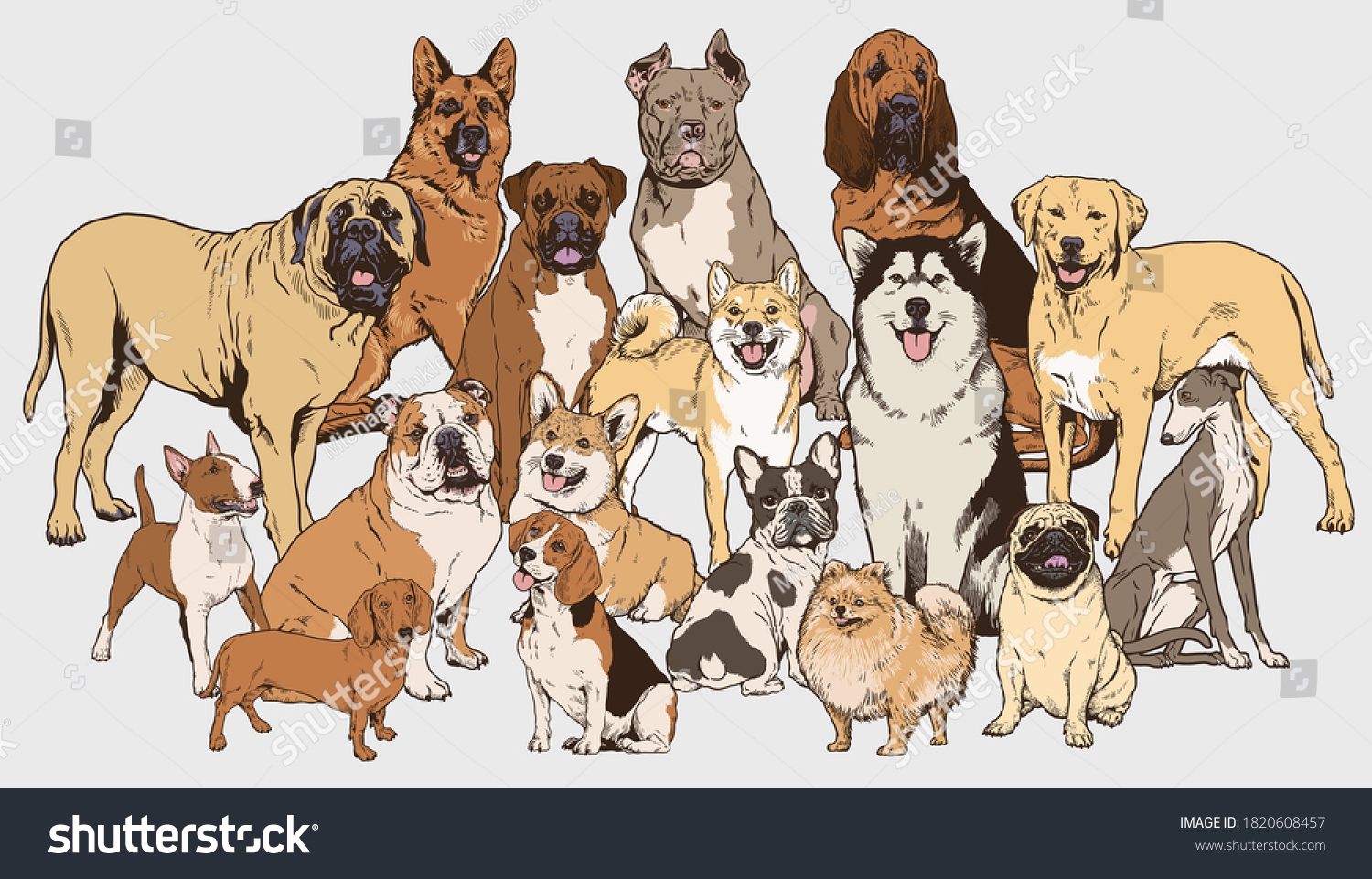 SVG of Dog illustration collection. Realistic vector illustrations of different breads of dogs. Each completed and isolated. svg