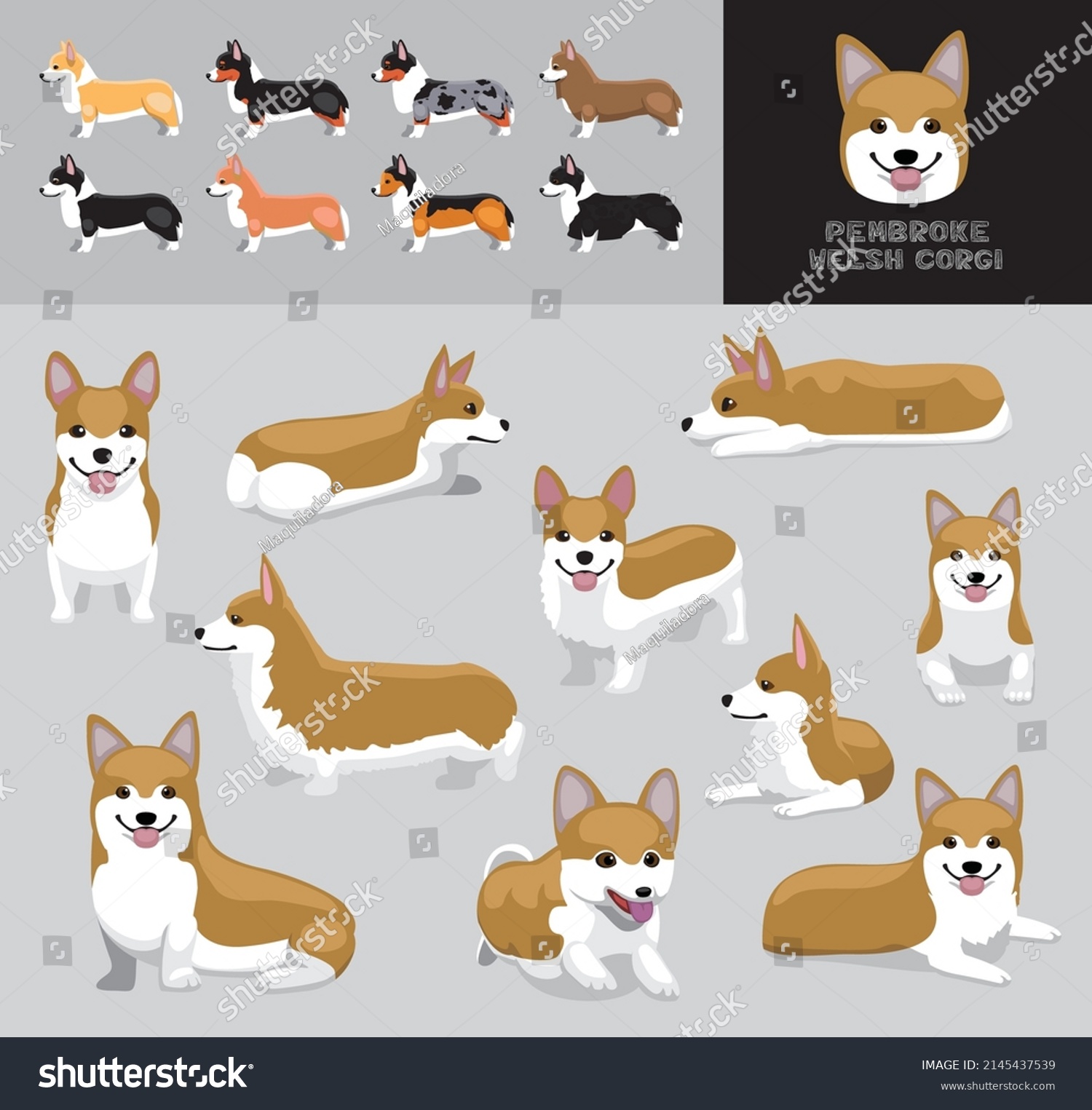 Dog Pembroke Welsh Corgi Cartoon Vector Stock Vector (royalty Free 