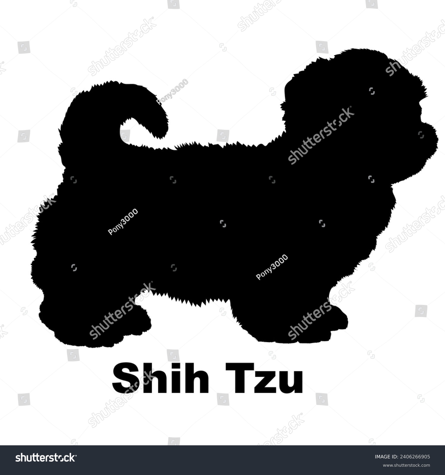 SVG of Dog Shih Tzu silhouette Breeds Bundle Dogs on the move. Dogs in different poses.
The dog jumps, the dog runs. The dog is sitting lying down playing
 svg