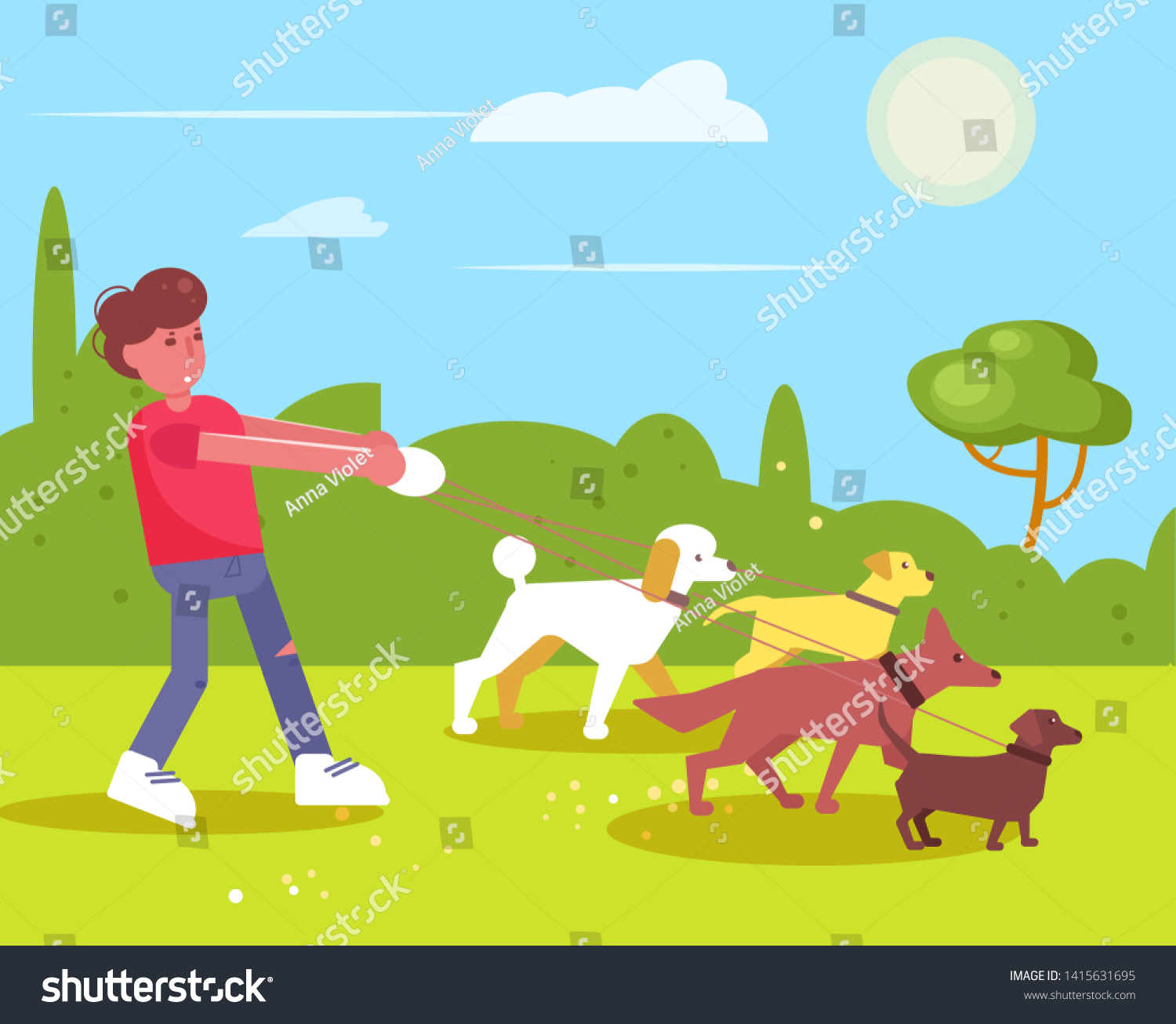 dog walking services