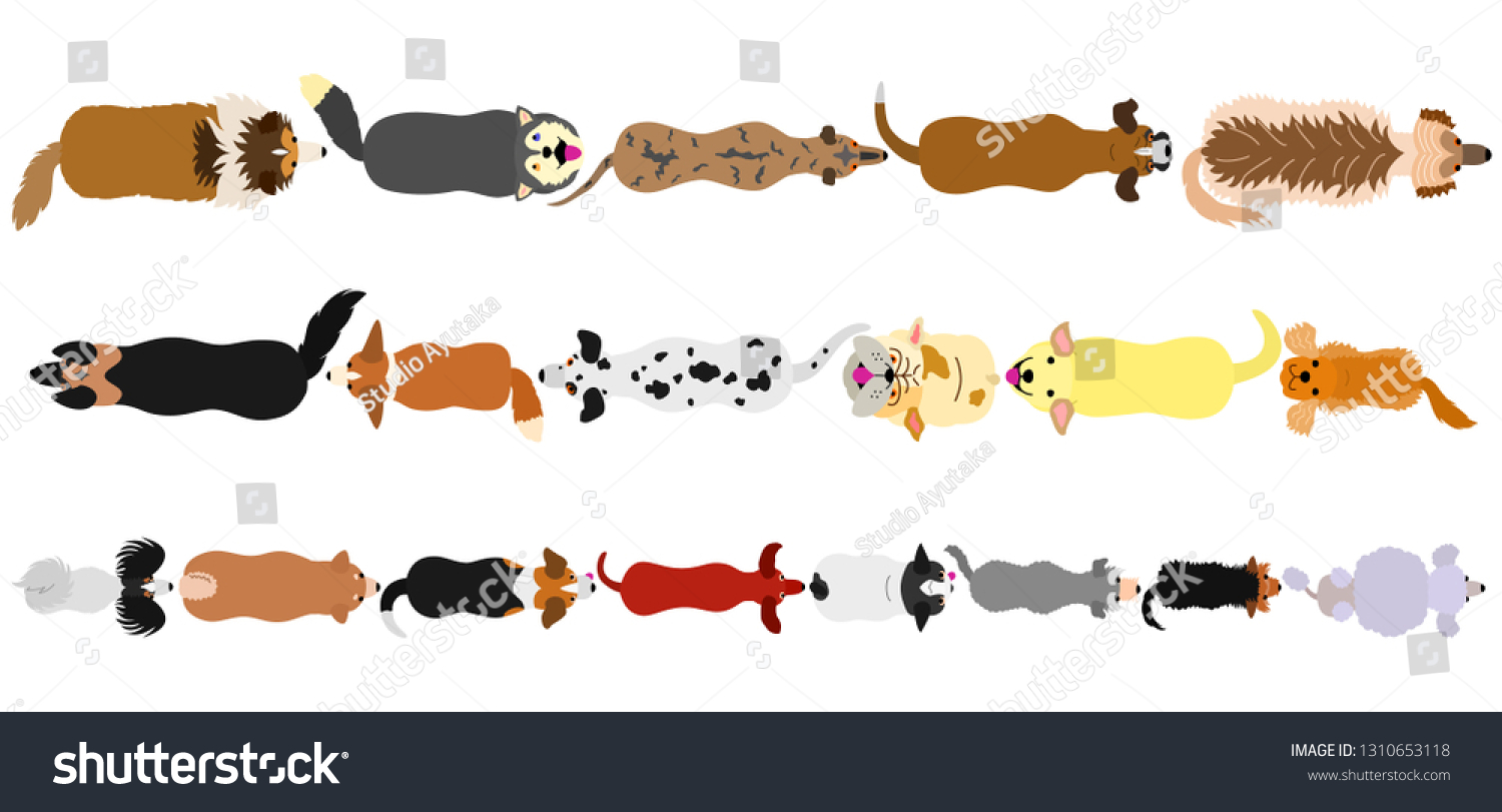 Dogs Border Set Stock Vector (Royalty Free) 1310653118