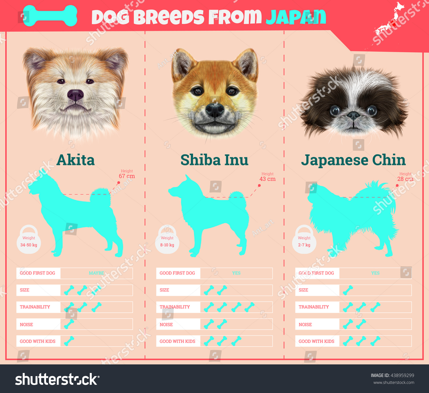 Dogs Breed Vector Info Graphics Types Stock Vector ...