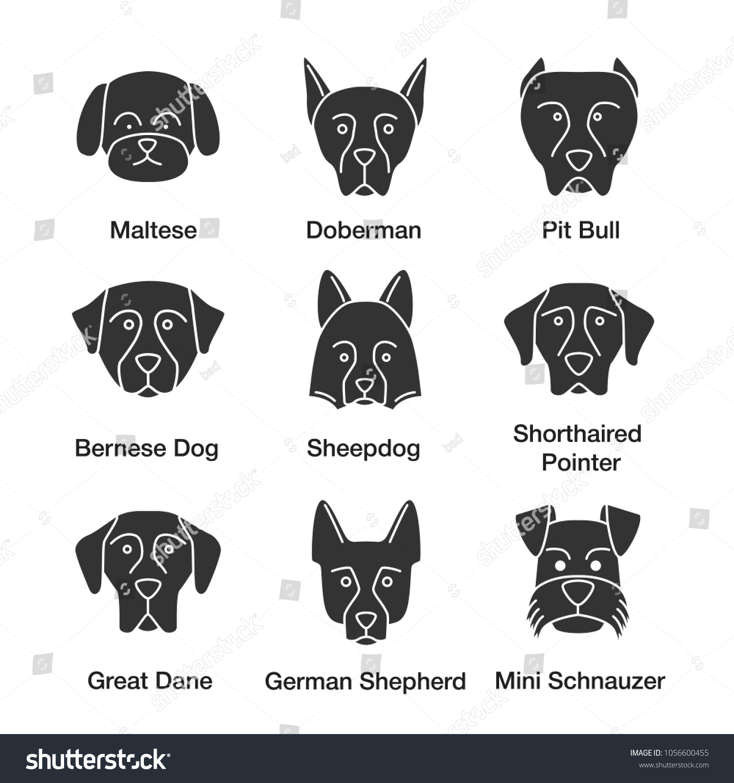 Dogs Breeds Glyph Icons Set Maltese Stock Vector Royalty Free