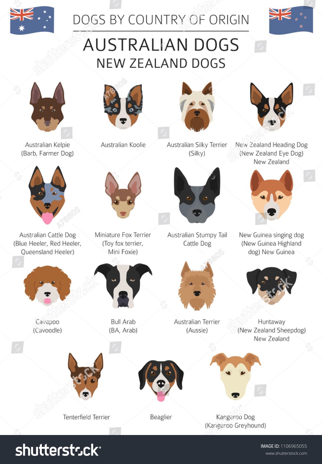 SVG of Dogs by country of origin. Australian dog breeds, New Zealand dogs. Infographic template. Vector illustration svg