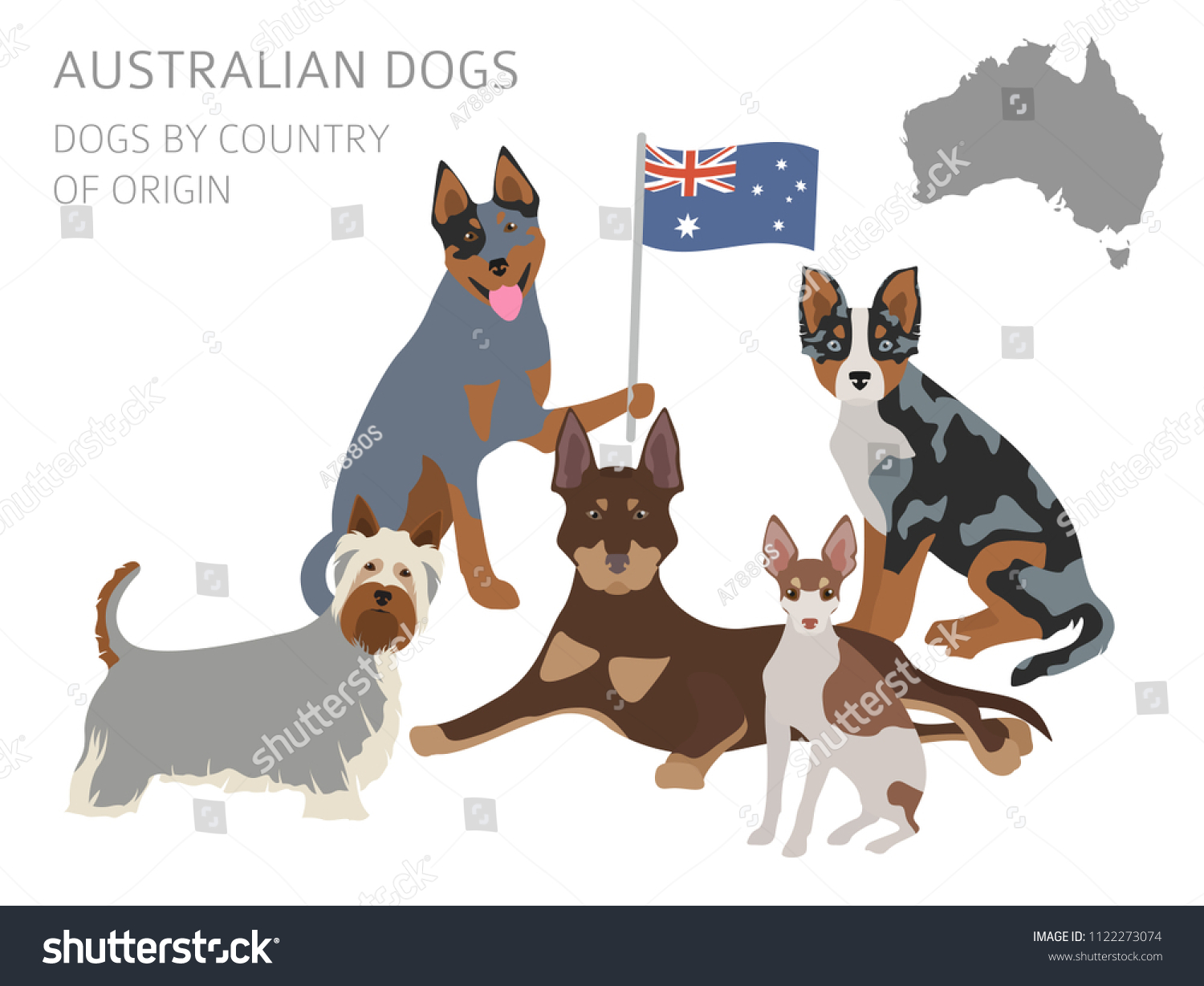 SVG of Dogs by country of origin. Australian dog breeds, New Zealand dogs. Infographic template. Vector illustration svg