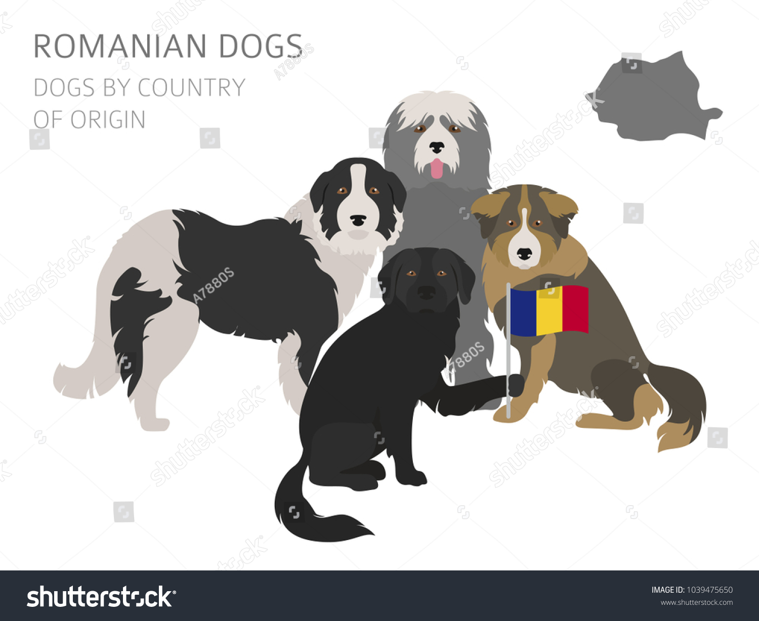 SVG of Dogs by country of origin. Romanian dog breeds. Infographic template. Vector illustration svg