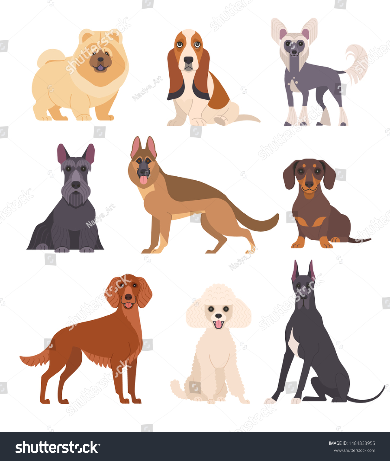 6,275 White poodle dog Stock Vectors, Images & Vector Art | Shutterstock