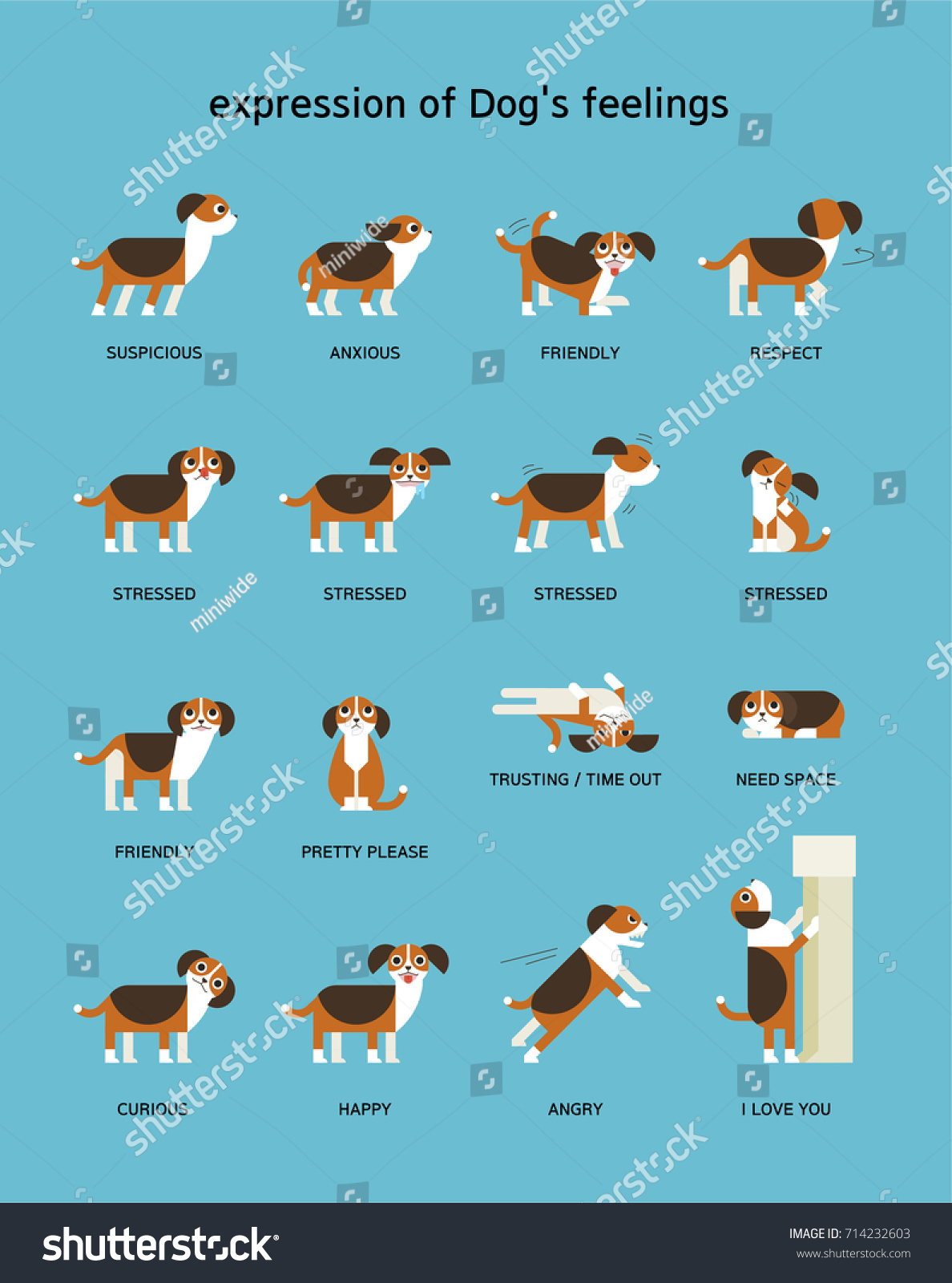 Dogs Emotion Expression Vector Illustration Flat Stock Vector (Royalty ...