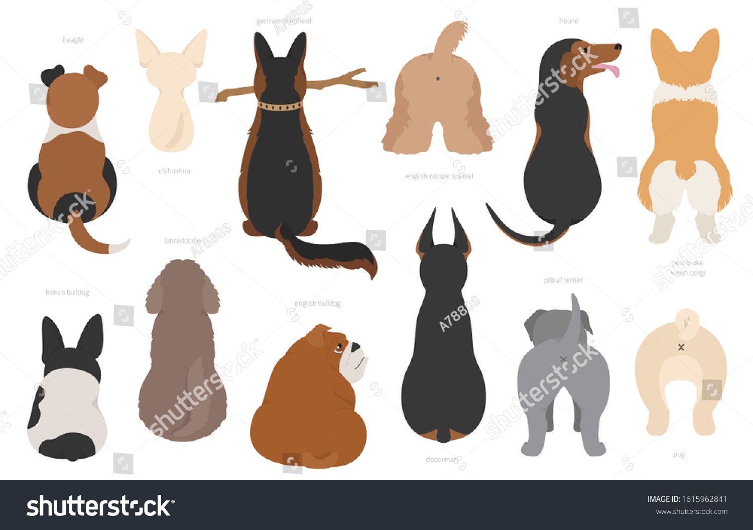 6 090 Vectores De Perros De Espaldas Vectores Imágenes Y Arte Vectorial De Stock Shutterstock