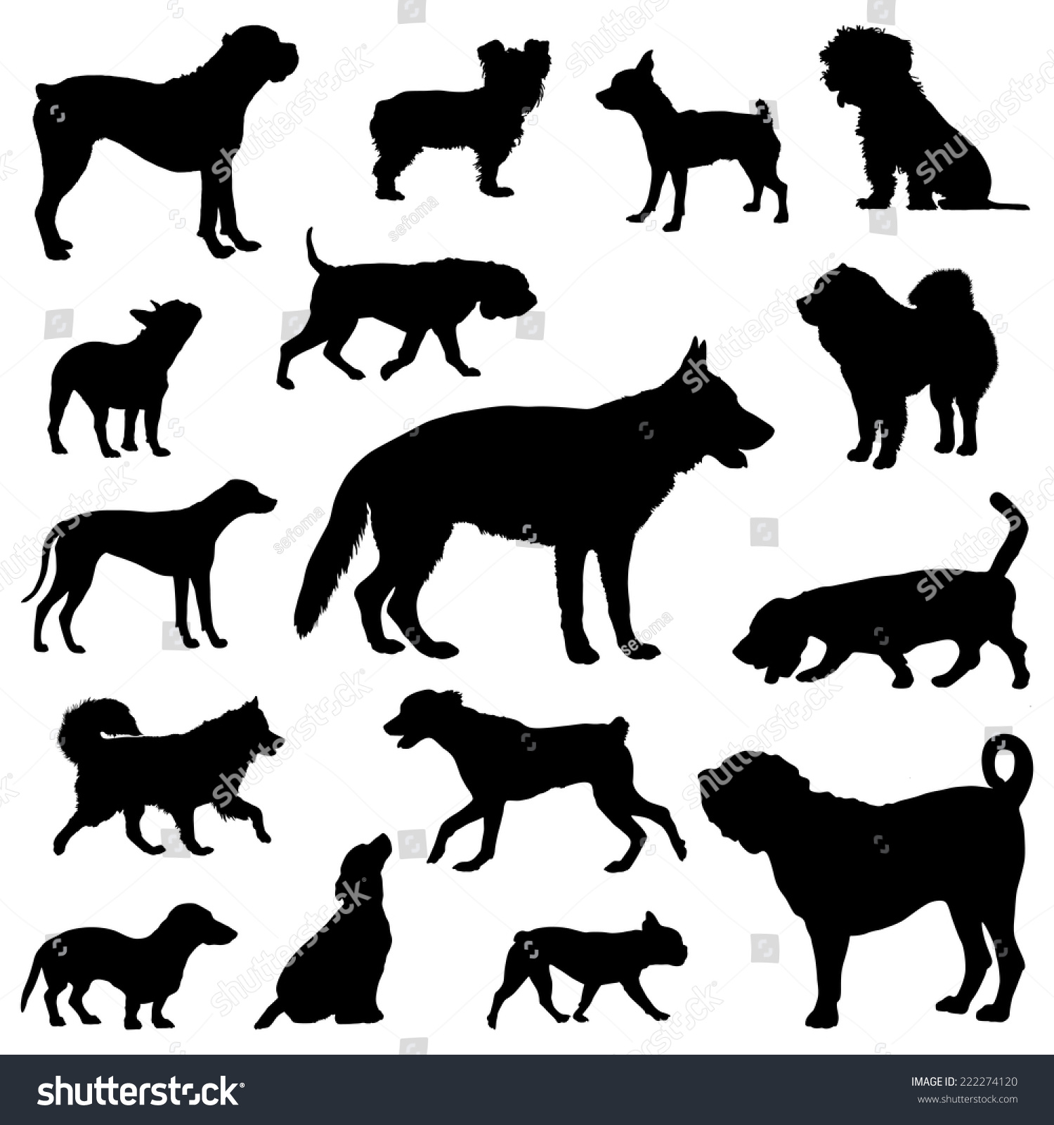 Dogs Silhouettes Vector Set Dogs Silhouette Stock Vector (Royalty Free ...