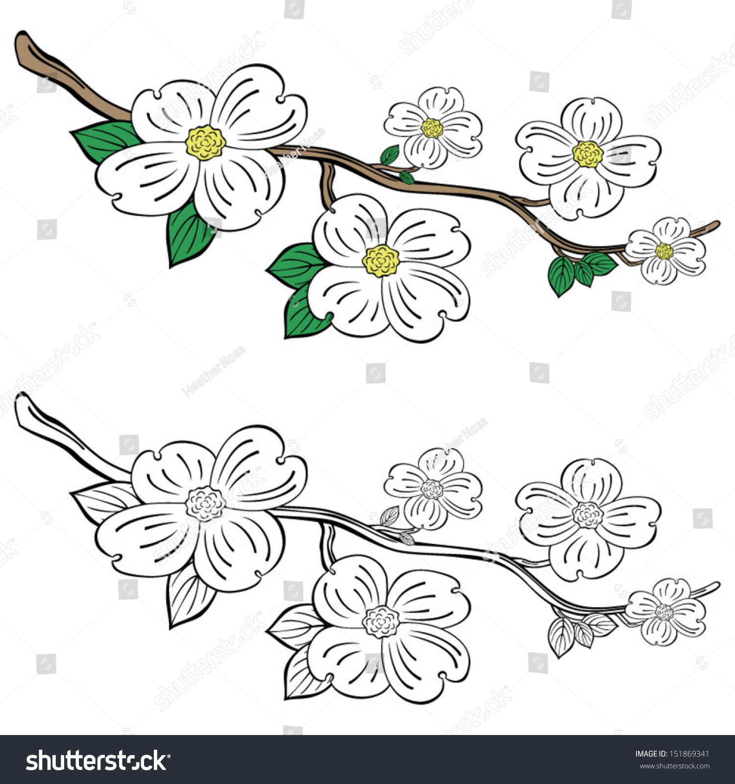 SVG of Dogwood flowers and branch svg