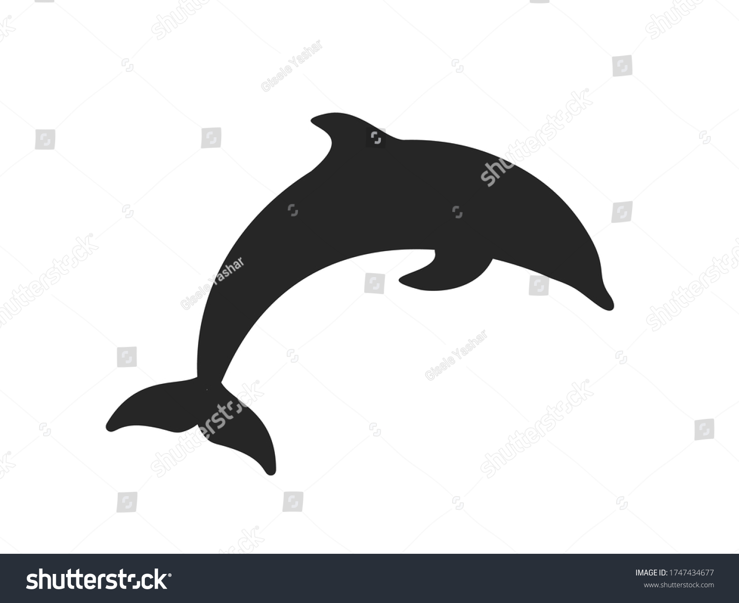 Dolphin Icon Dolphin Vector Design Stylish Stock Vector (Royalty Free ...