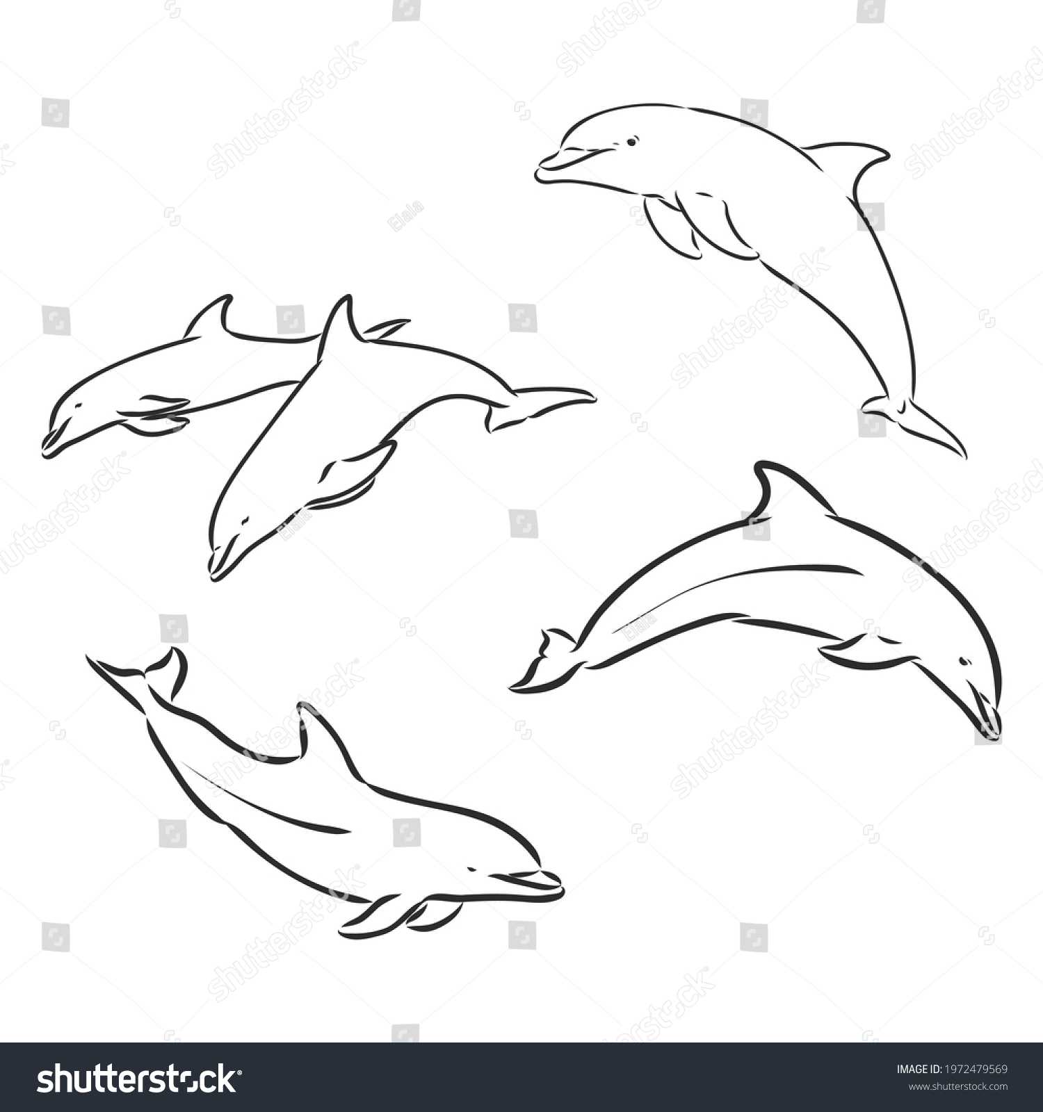 9,113 Jumping dolphin cartoon Images, Stock Photos & Vectors | Shutterstock