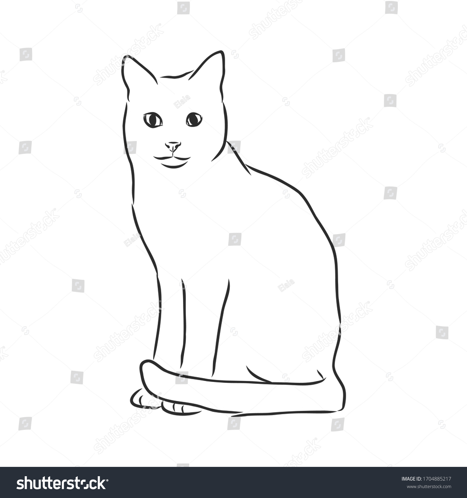 Domestic Cat Realistic Vector Sketch Illustration Stock Vector (Royalty ...