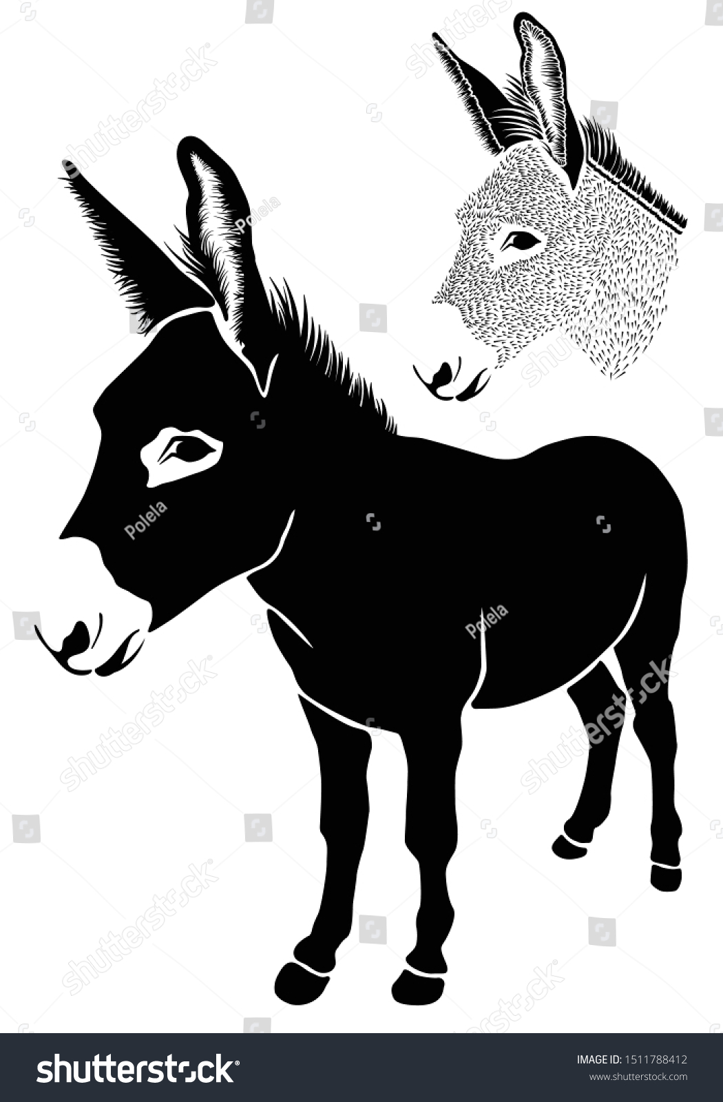 ロバ 白い背景に 農業動物の頭 正面図の画像 かわいい農家の動物のイラスト 家畜の動物の抽象図 ロゴ アイコン スケッチ ステッカー ベクター画像 のベクター画像素材 ロイヤリティフリー