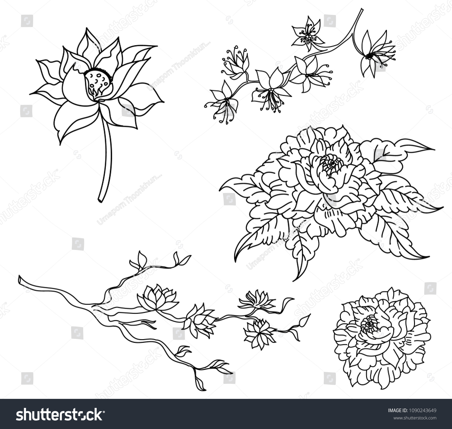 Doodle Art Lotus Flower Peony Flower Stock Vector Royalty Free
