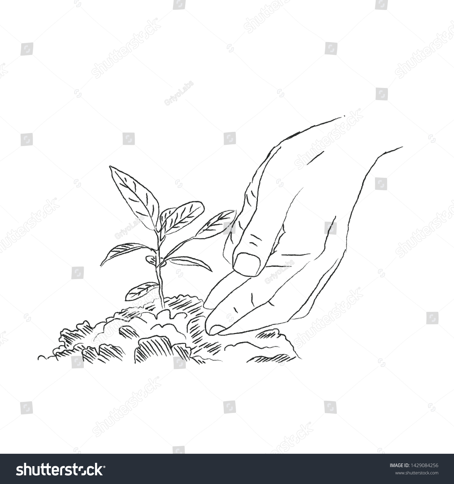 Doodle Handdrawing World Environment Day Reforesting Stock Vector Royalty Free