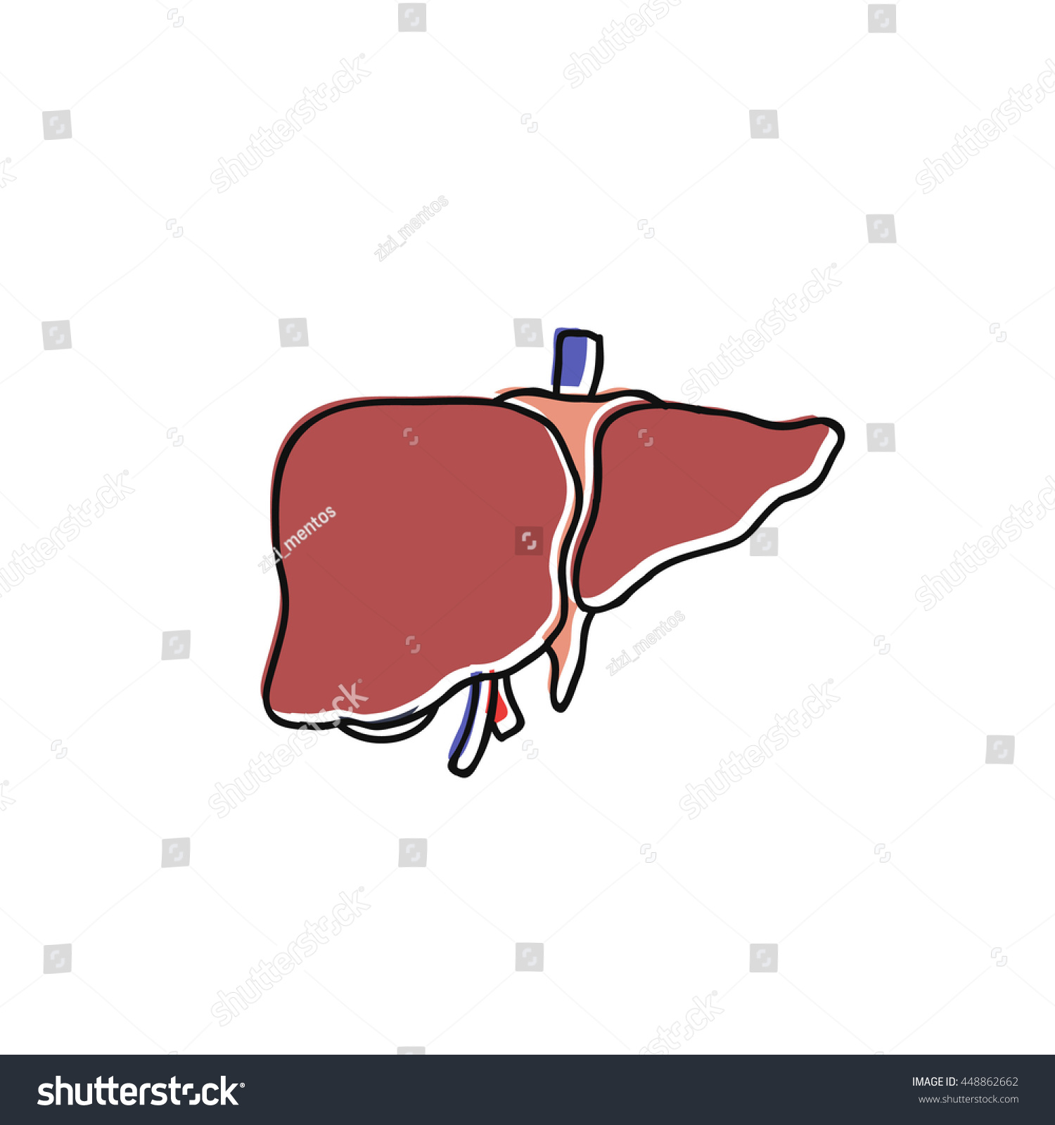 Doodle Icon Human Liver Vector Illustration Stock Vector 448862662 ...