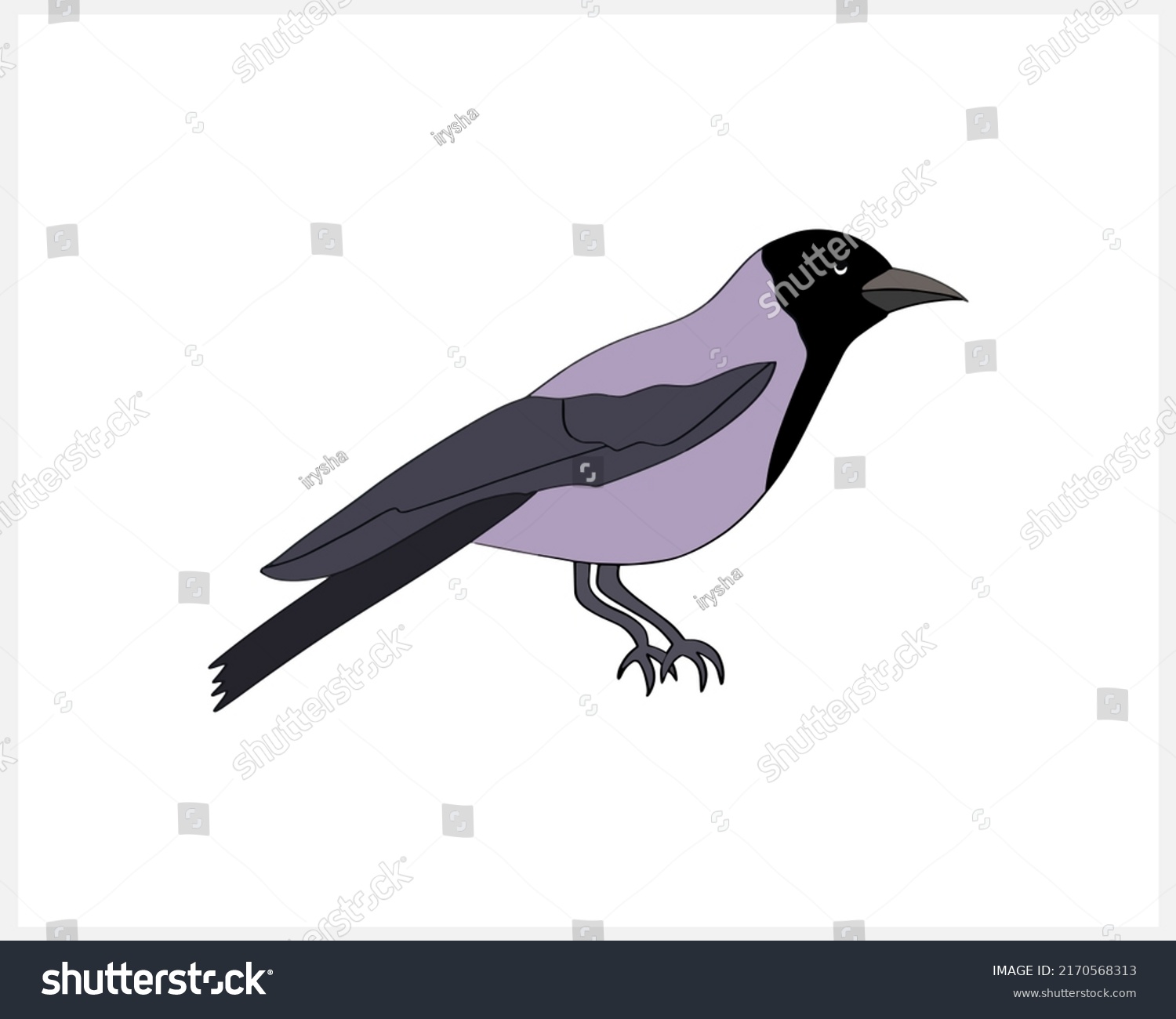 Doodle Raven Bird Clip Art Isolated Stock Vector (Royalty Free ...