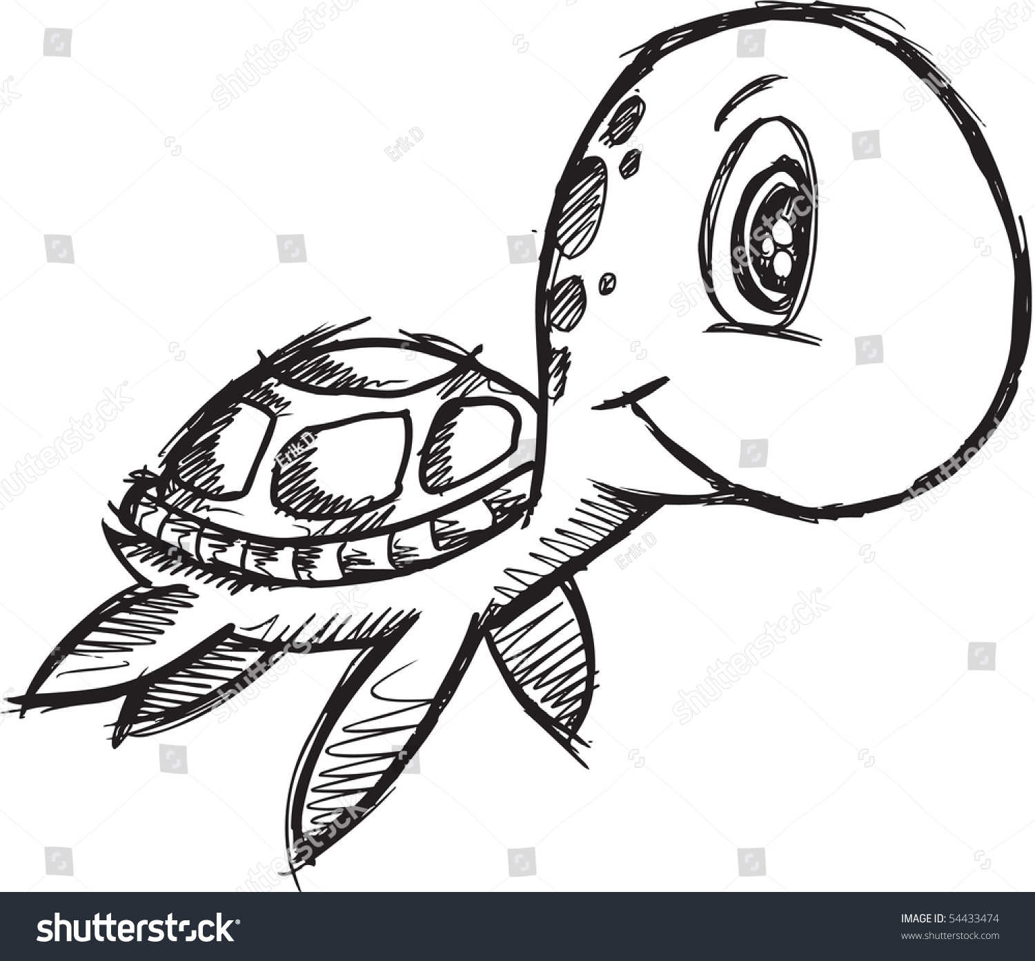 Doodle Sketchy Sea Turtle Vector Illustration - 54433474 : Shutterstock