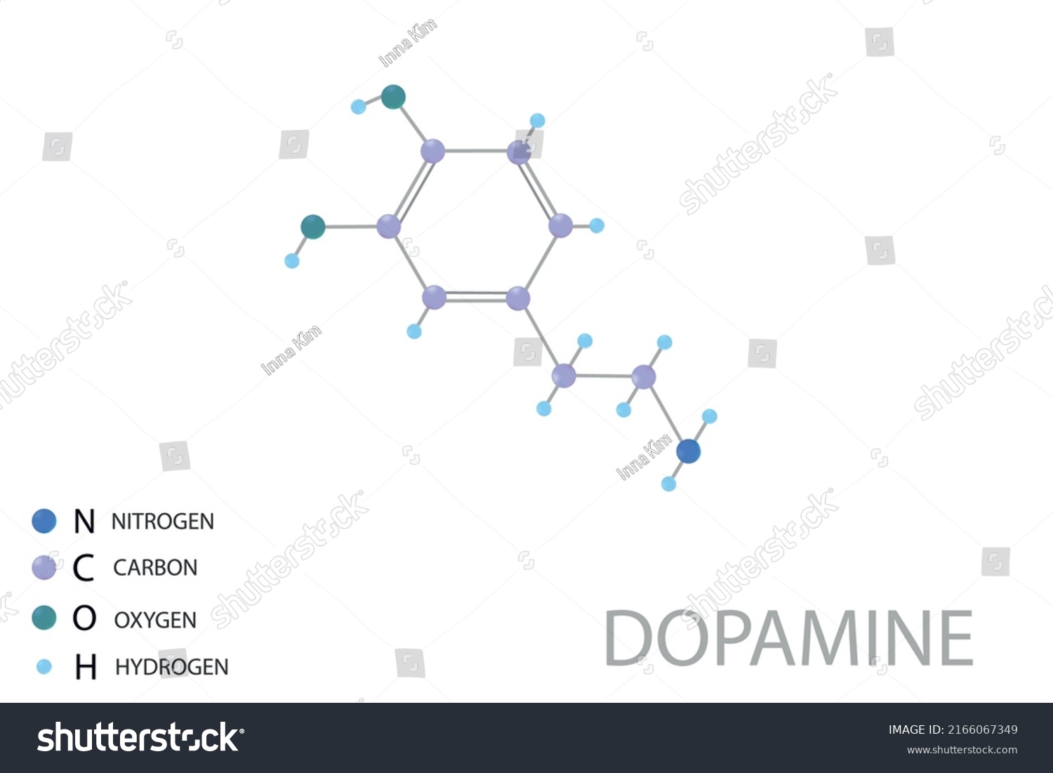 Dopamine Molecular Skeletal D Chemical Formula Stock Vector Royalty Free