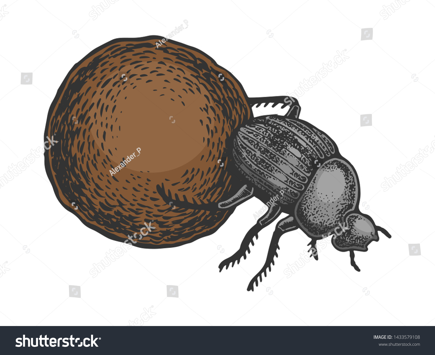 SVG of Dor beetle bug insect animal color sketch engraving vector illustration. Scratch board style imitation. Black and white hand drawn image. svg