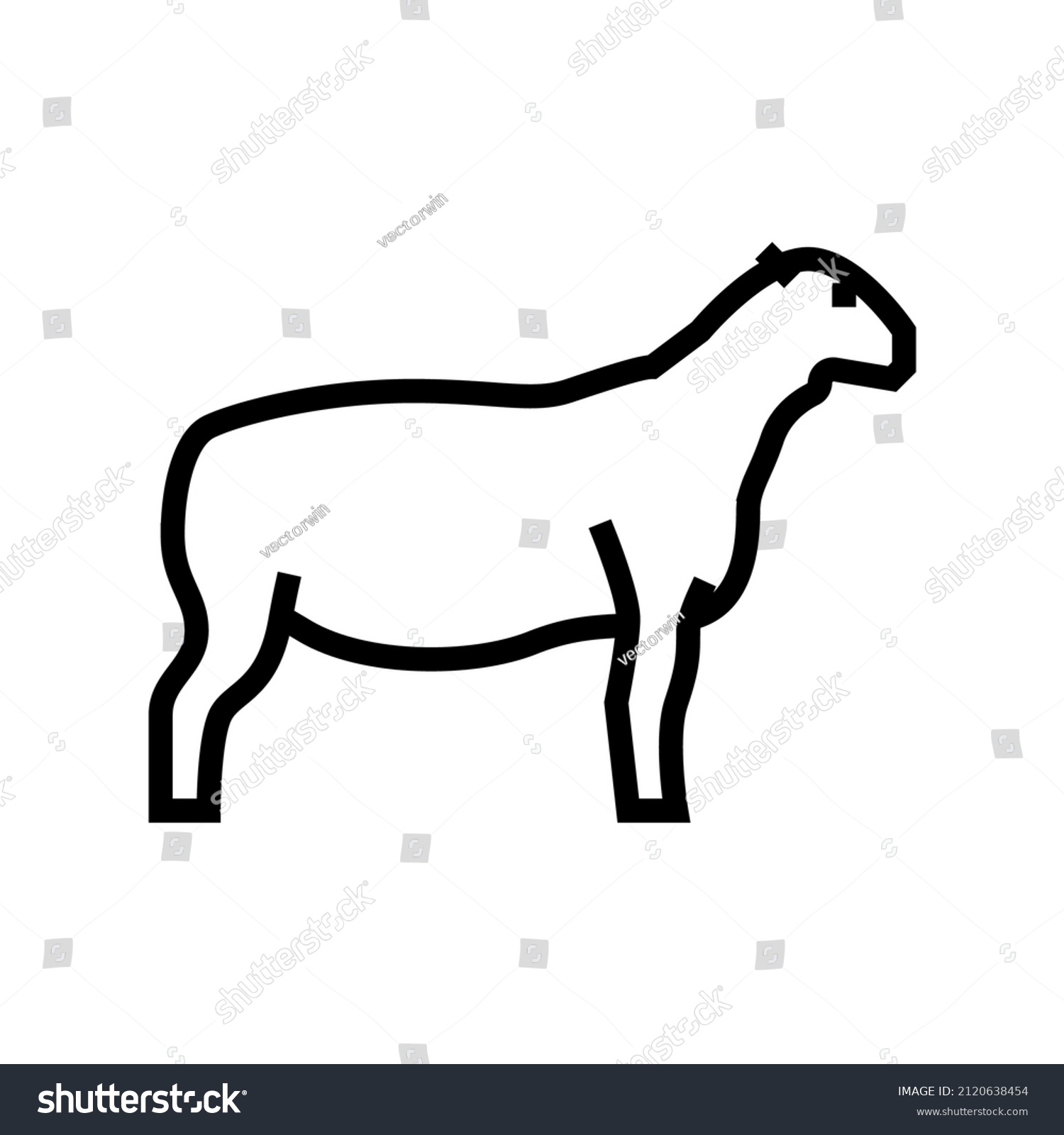 SVG of dorper sheep line icon vector. dorper sheep sign. isolated contour symbol black illustration svg