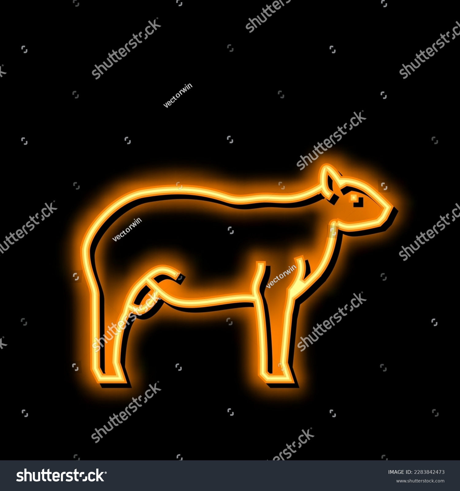 SVG of dorper sheep neon light sign vector. dorper sheep illustration svg