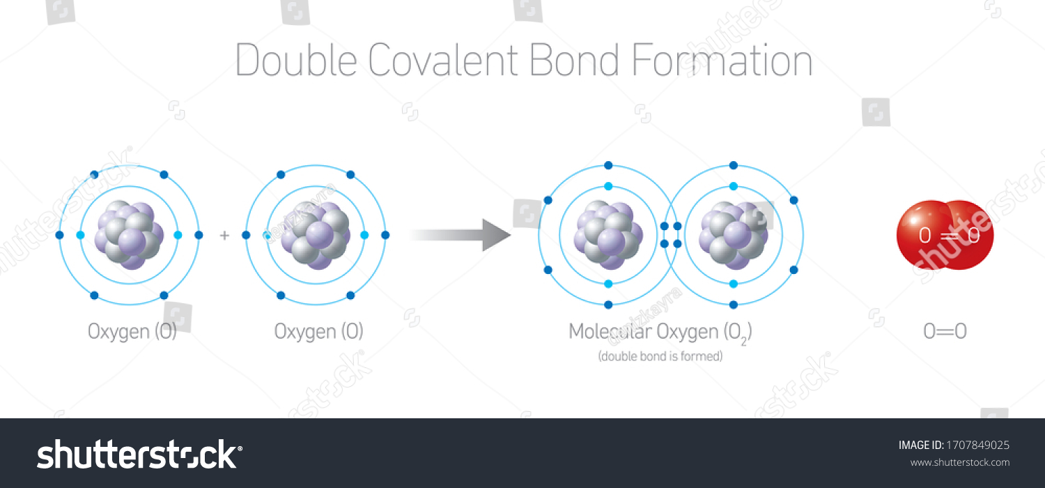 chapter-5-6-properties-of-polar-covalent-bonds-chemistry-libretexts