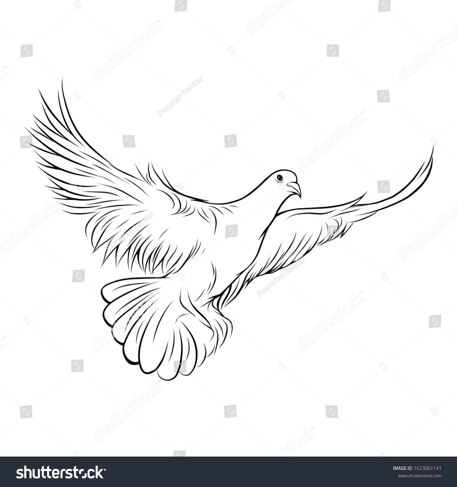 Dove Flying Wings Spread Line Art Stock Vector (Royalty Free) 1623061141