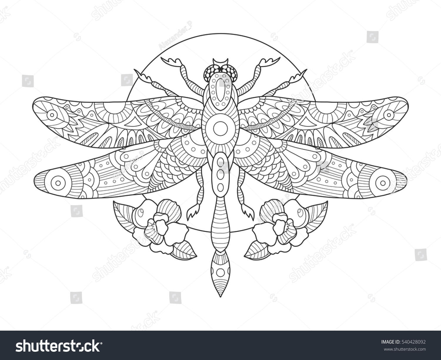Dragonfly Coloring Book Adults Vector Illustration Stock ...
