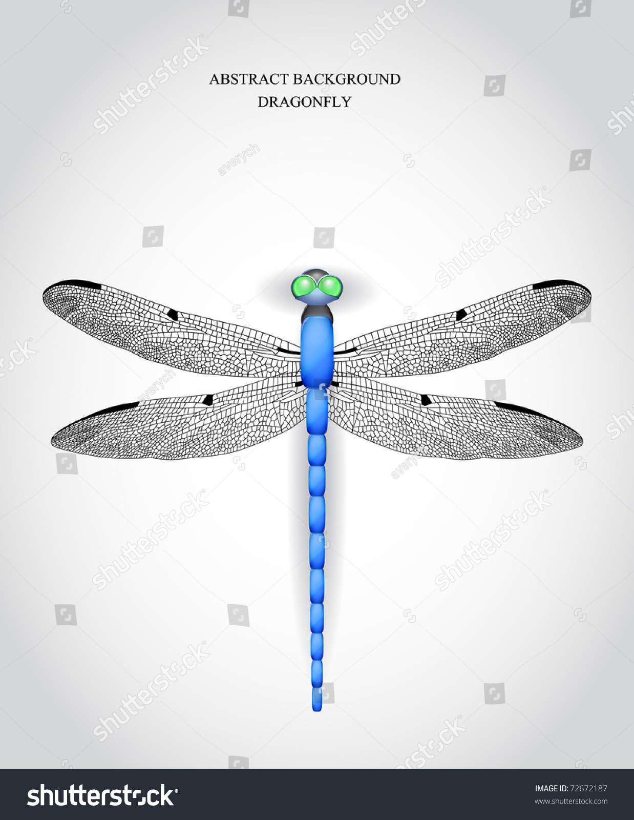 Dragonfly. Vector Illustration - 72672187 : Shutterstock