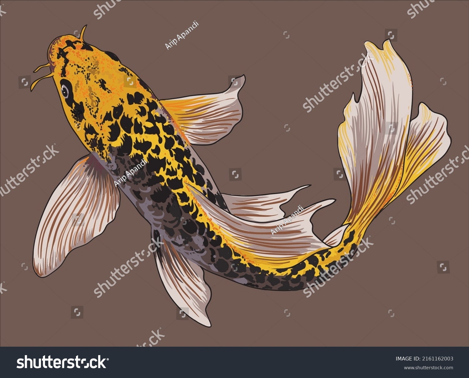 Drawing Butterfly Koi Beautiful Artillustration Vector Stock Vector