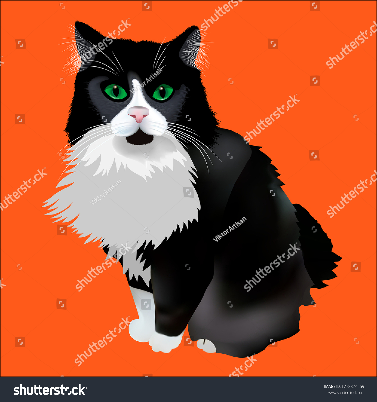 Drawing Black Fluffy Cat Green Eyes Stock Vector (Royalty Free ...