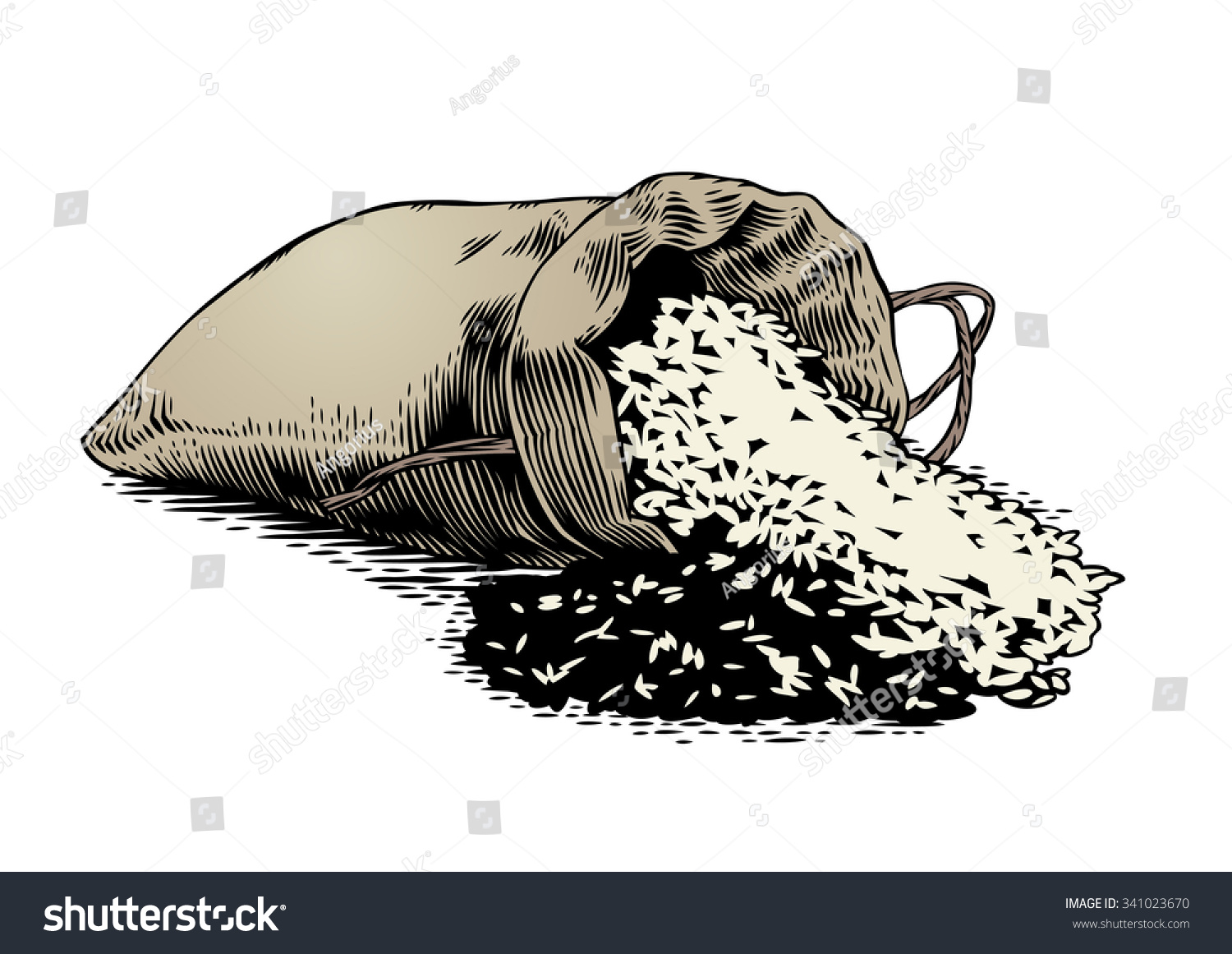 Drawing Sack Rice On White Stock Vector (Royalty Free) 341023670