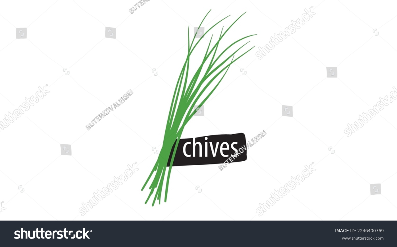 SVG of Drawn green spring onion isolated on a white background svg