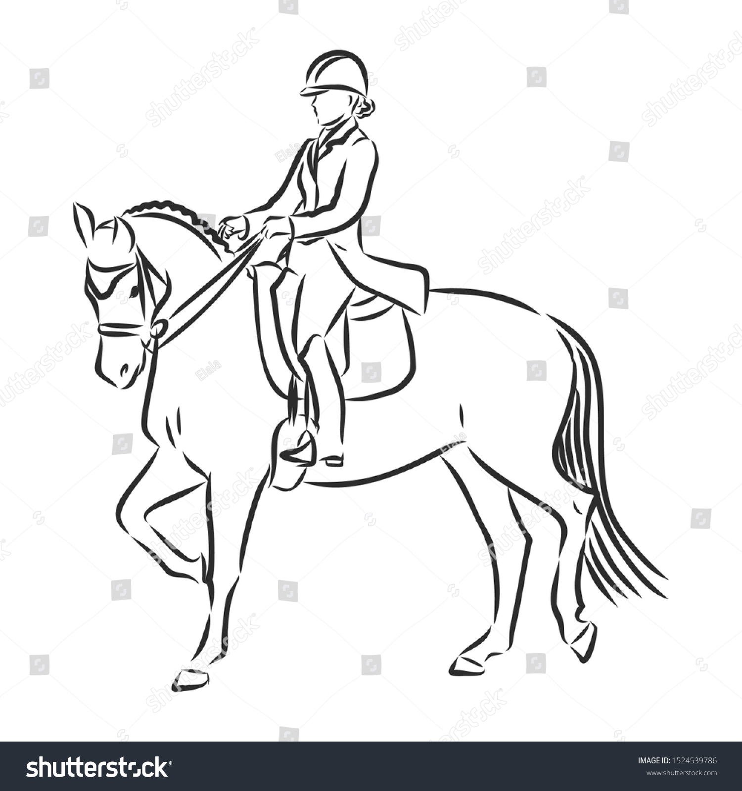 Dressage Horses Sketch Horsemanship Contour Vector Stock Vector ...