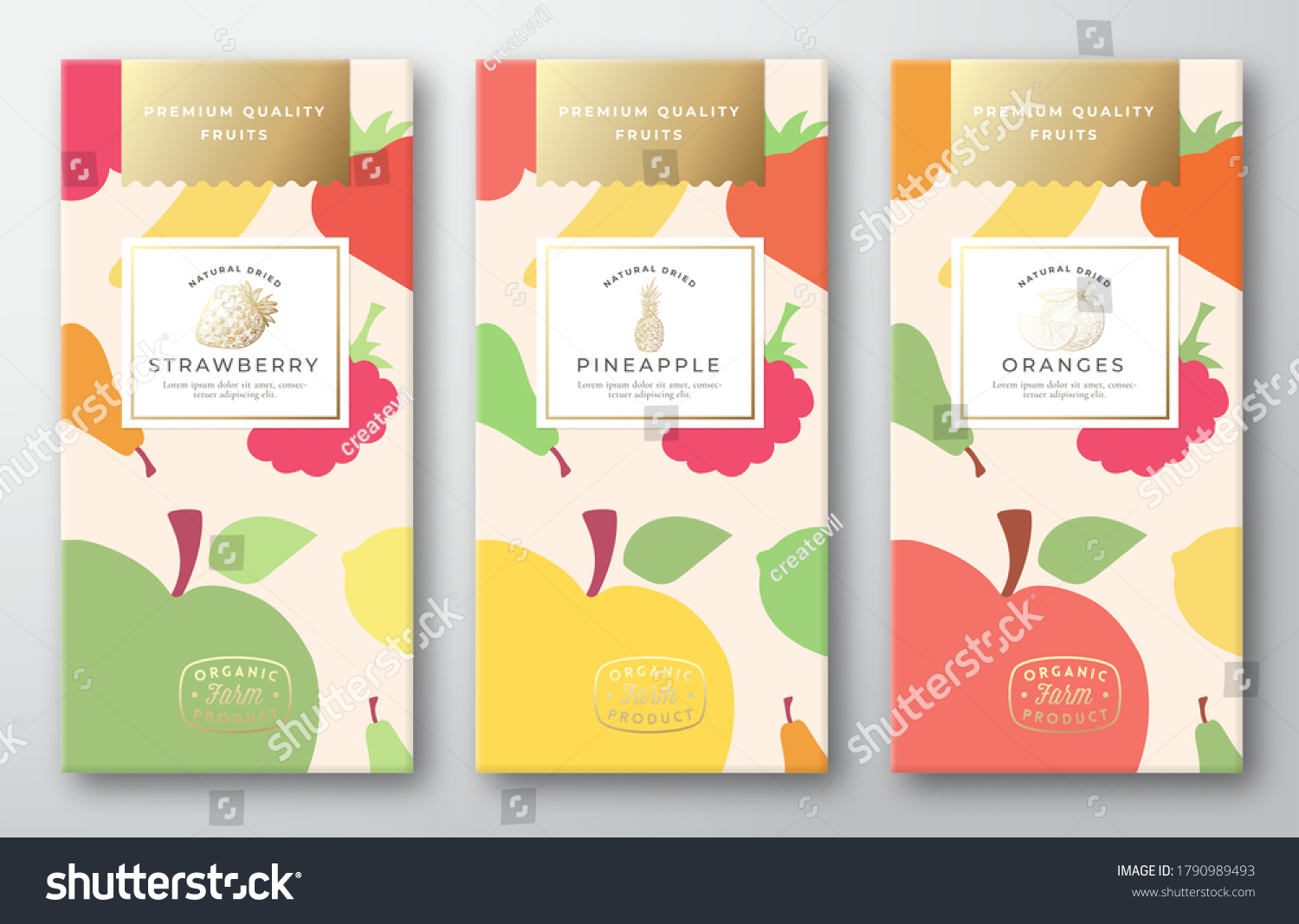 Dried Fruits Label Packaging Design Layout Stock Vector (Royalty Free ...