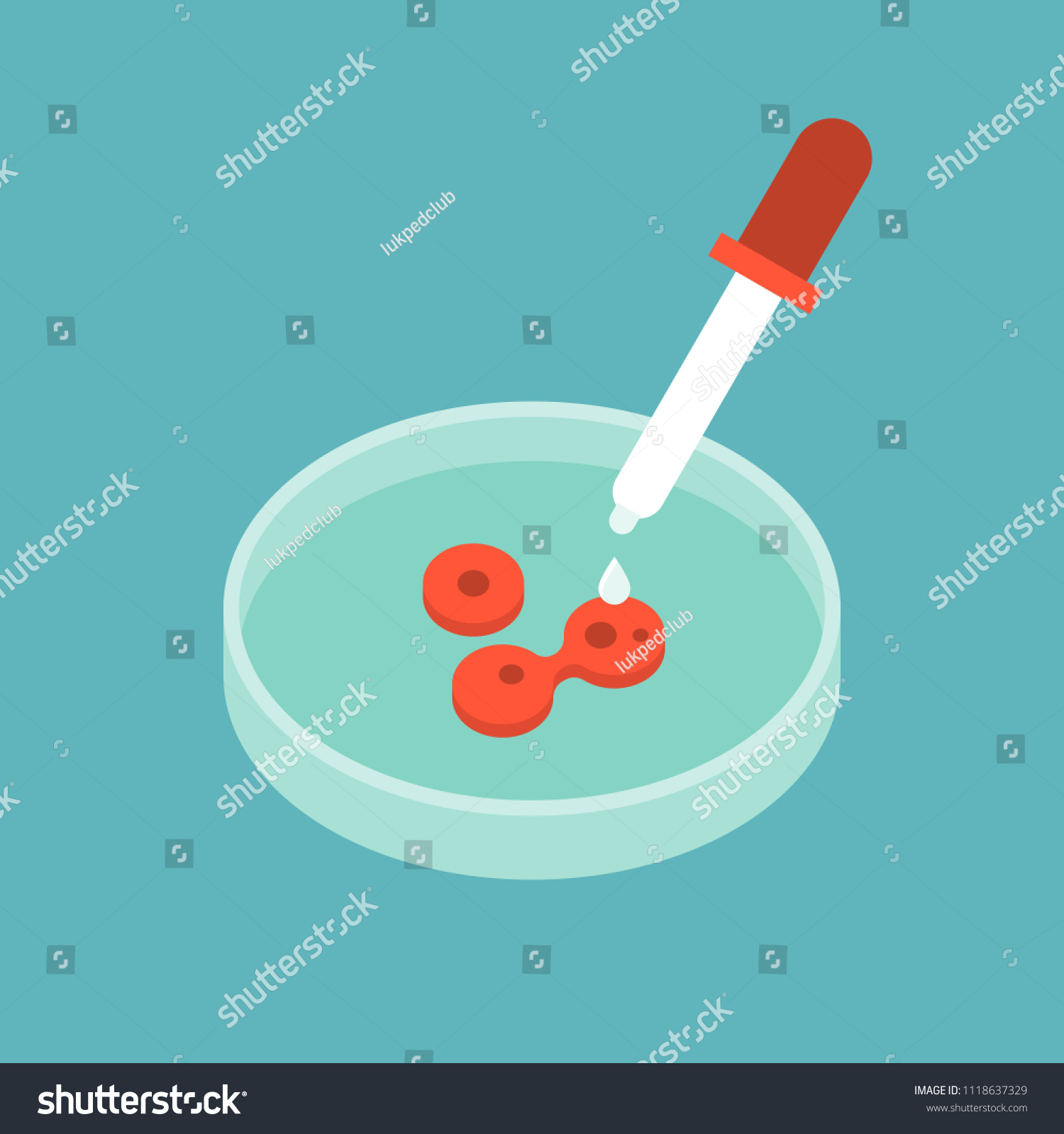 Dropper Petri Dish Lab Equipment Flat Stock Vector (Royalty Free ...