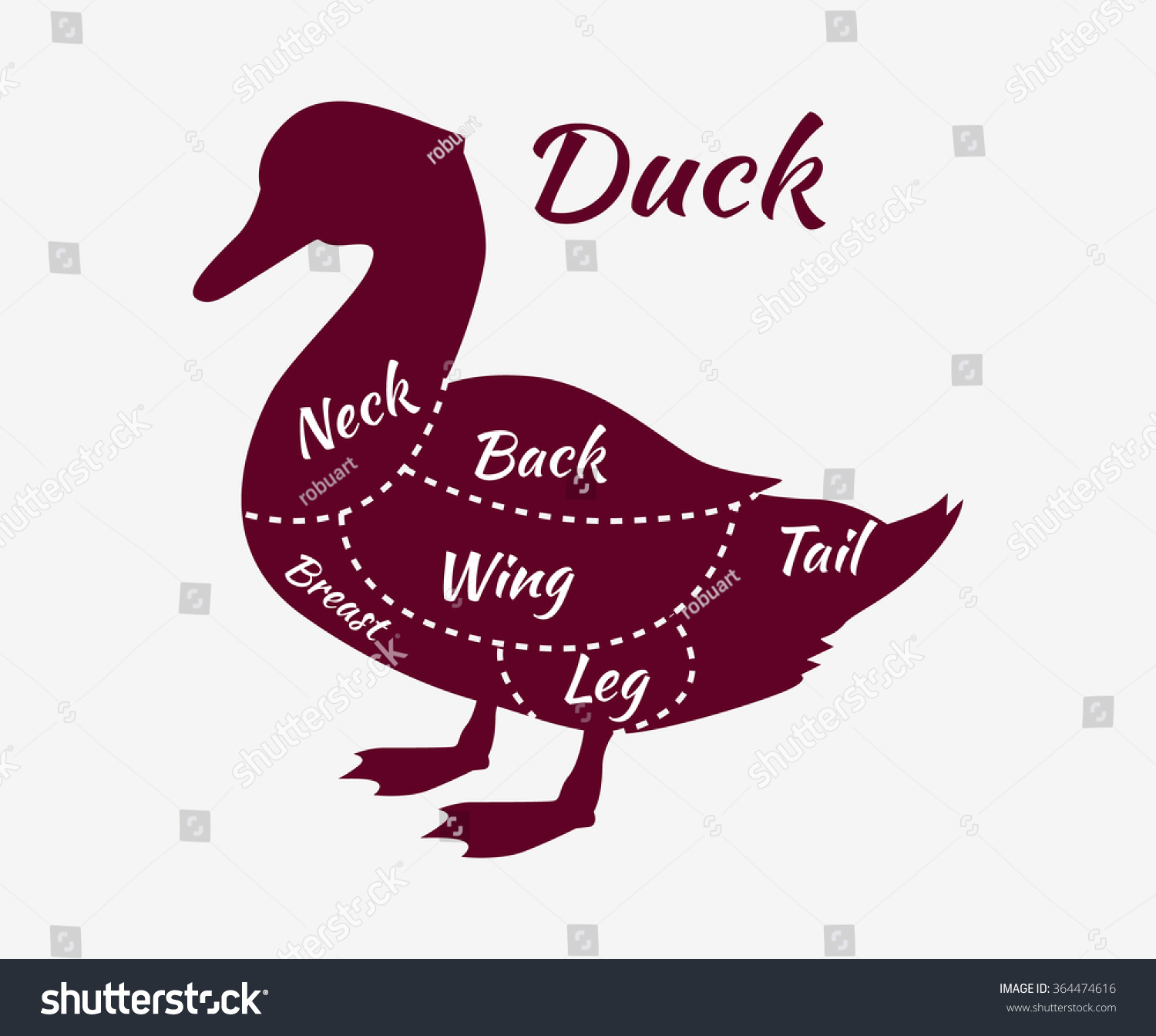 Duck Cuts. Typographic Duck Butcher Cuts Diagram Scheme. Premium Duck ...