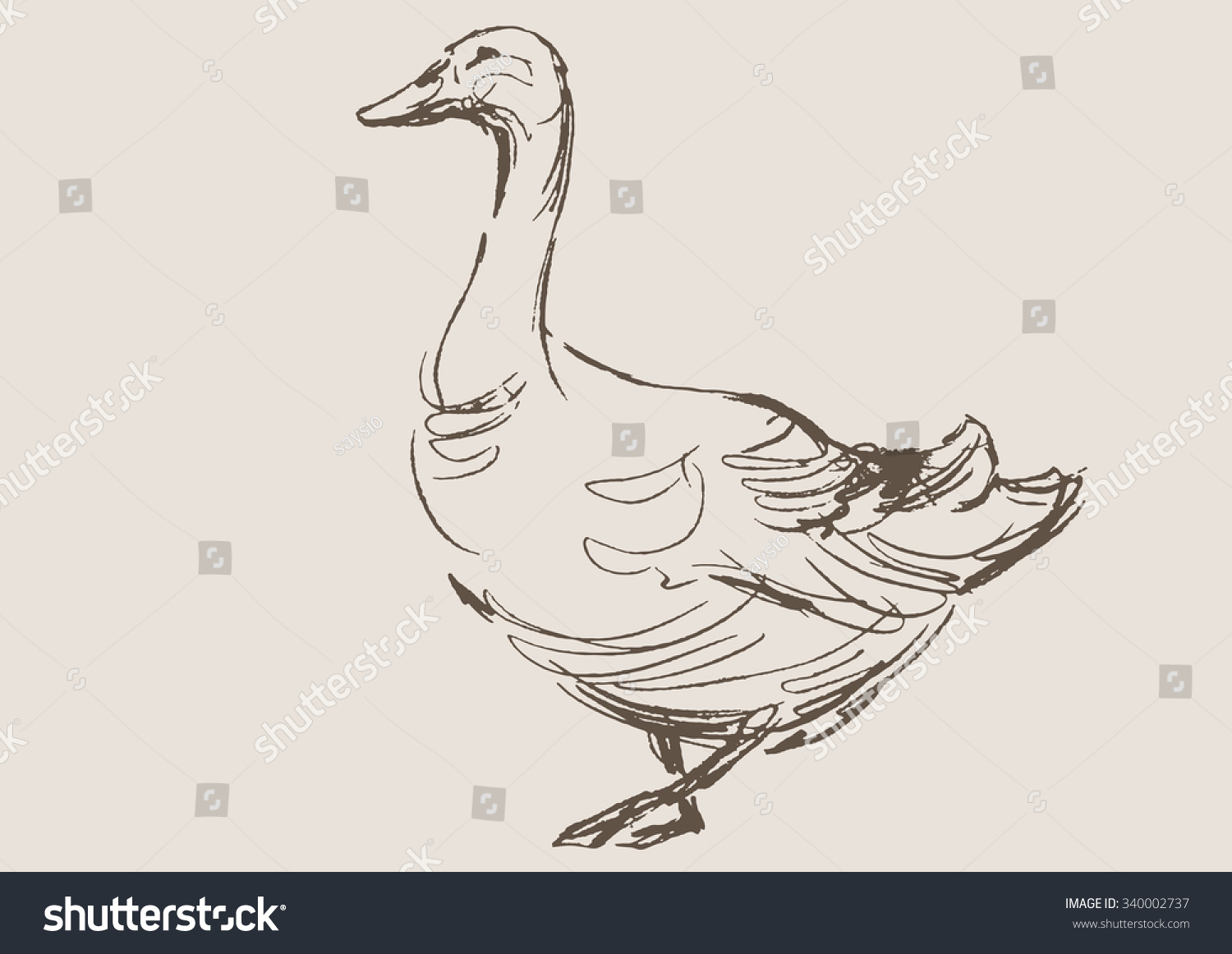 Duck Hand Draw Sketch Vector Stock Vector (Royalty Free) 340002737