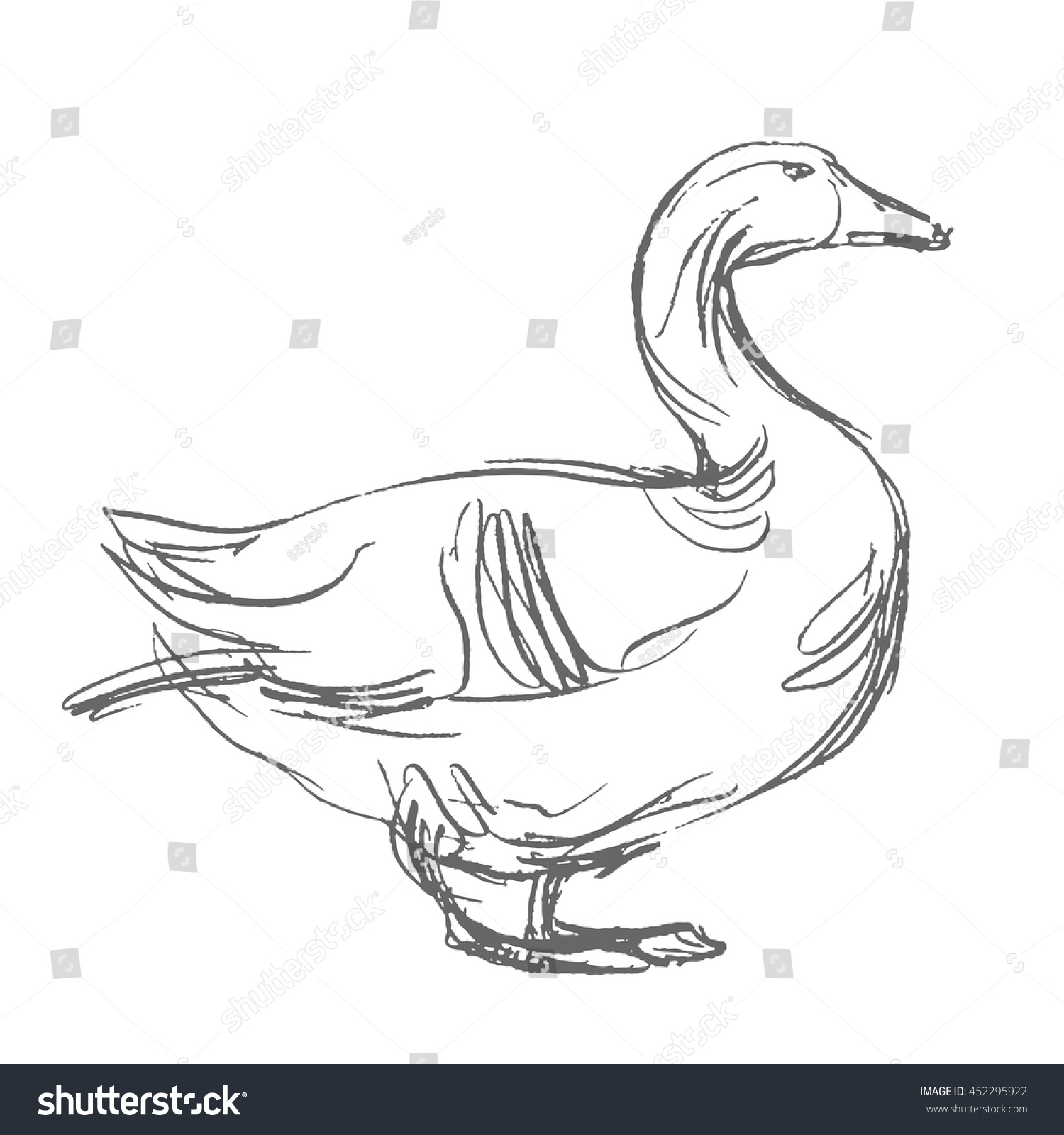 Duck Hand Draw Sketch Vector Stock Vector (Royalty Free) 452295922